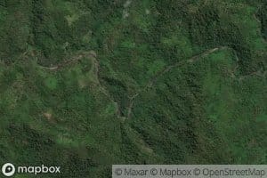 Royongan Raanan Tayaang