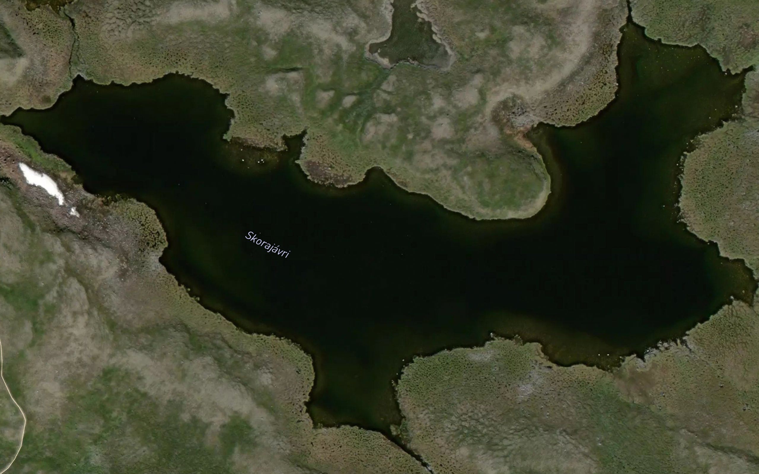 Skorajavri