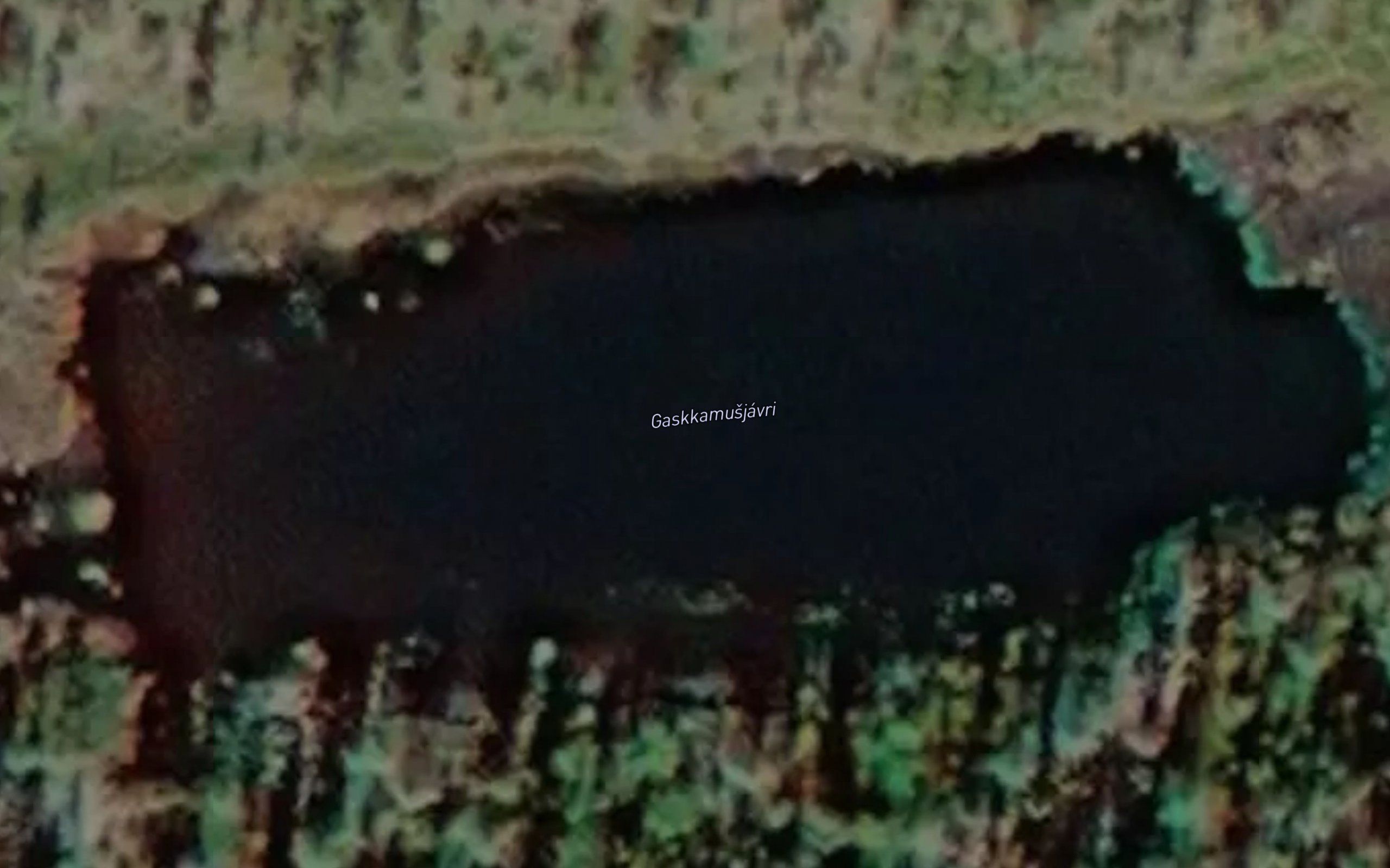 Gaskkamusjavri