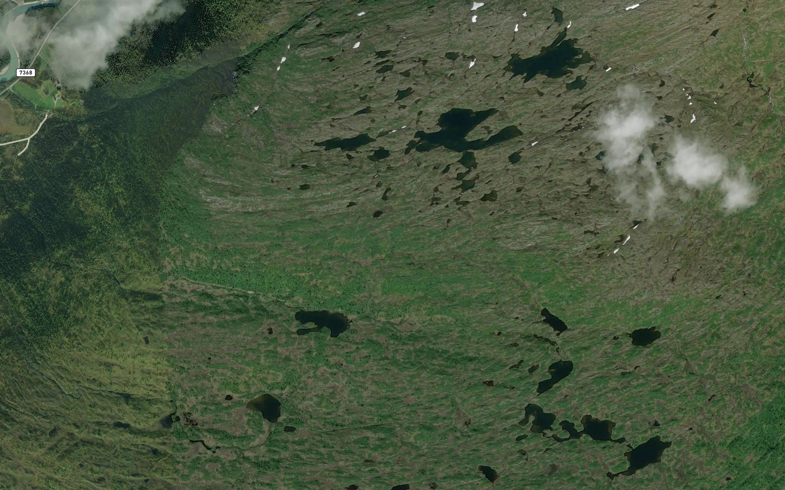 Hjarttjonnbekken
