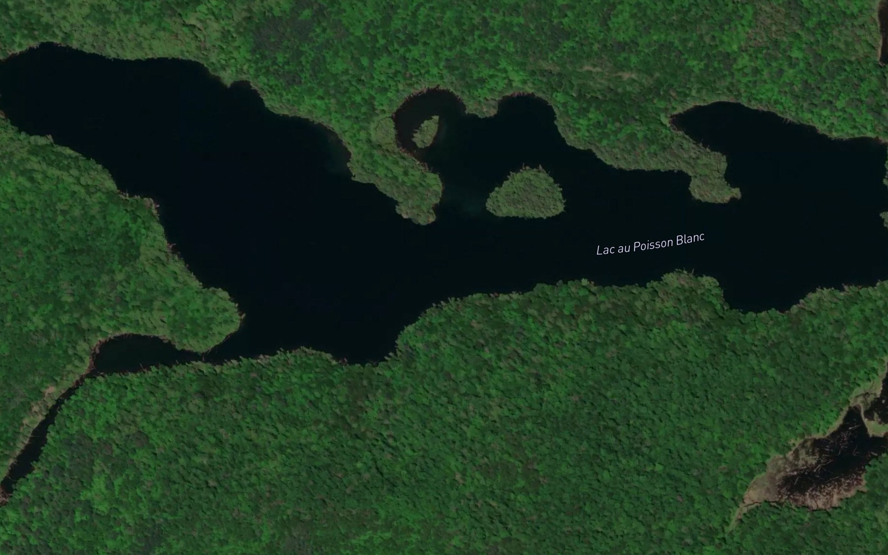 Satellite map of the Lac au Poisson Blanc