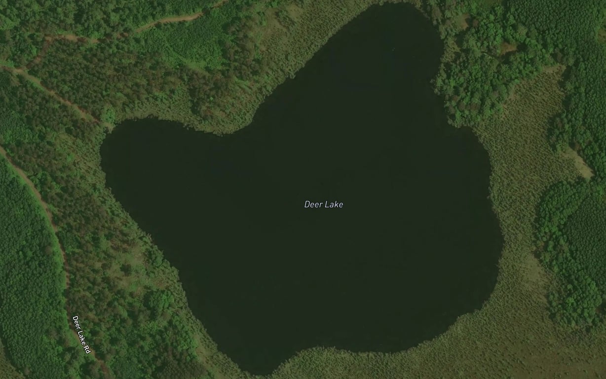 Deer Lake Fishing near Park Falls, WI | Fishbox