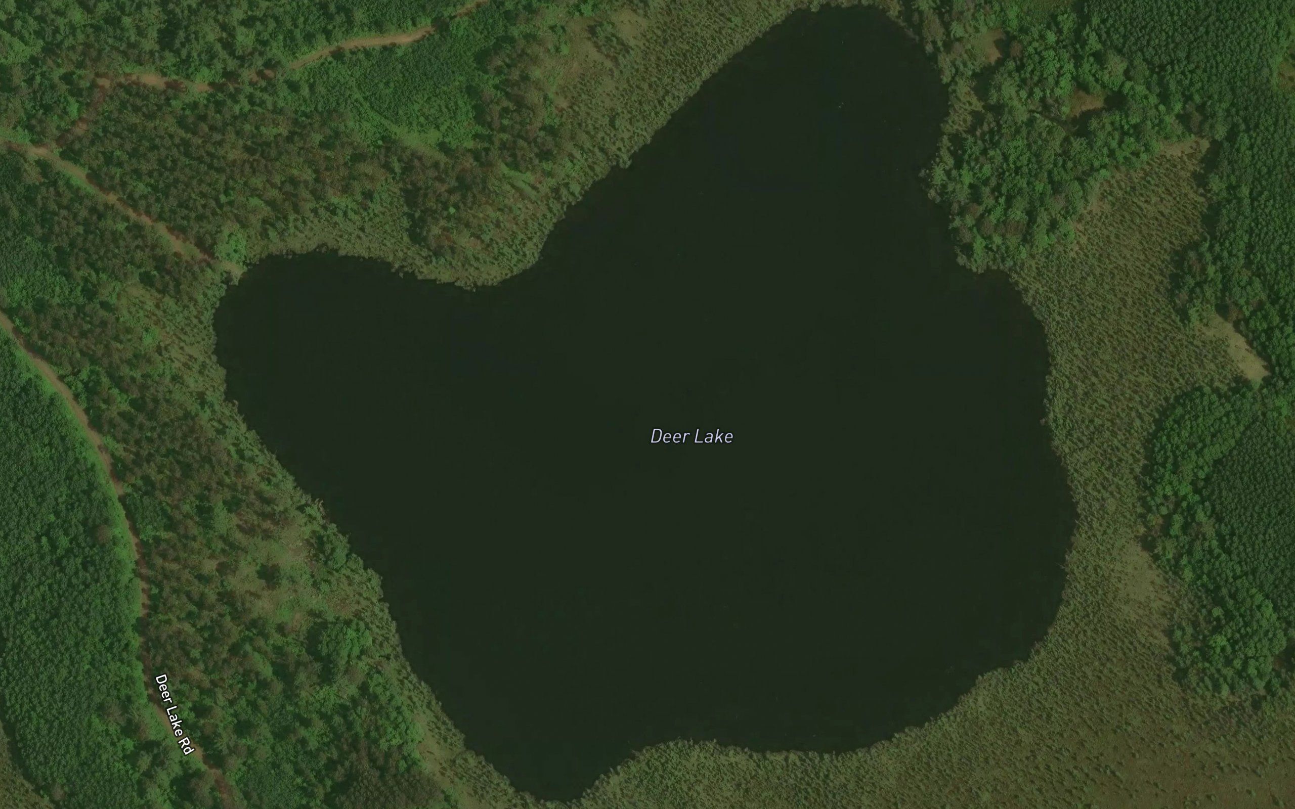 Deer Lake