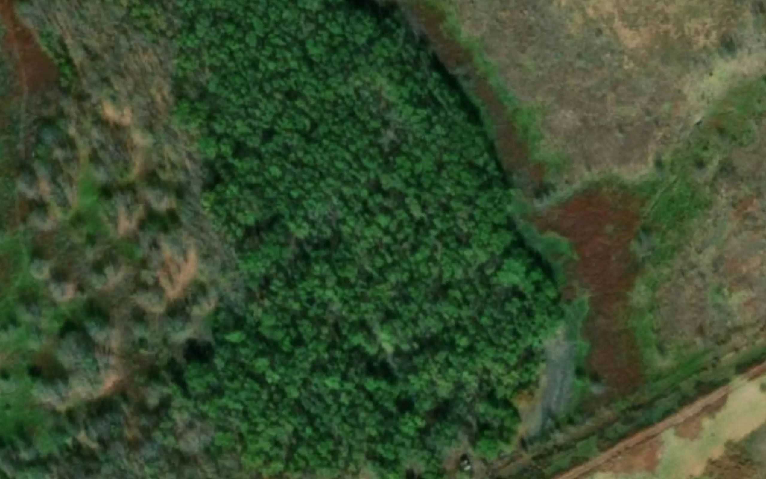 Soil Conservation Service Site 98a Reservoir