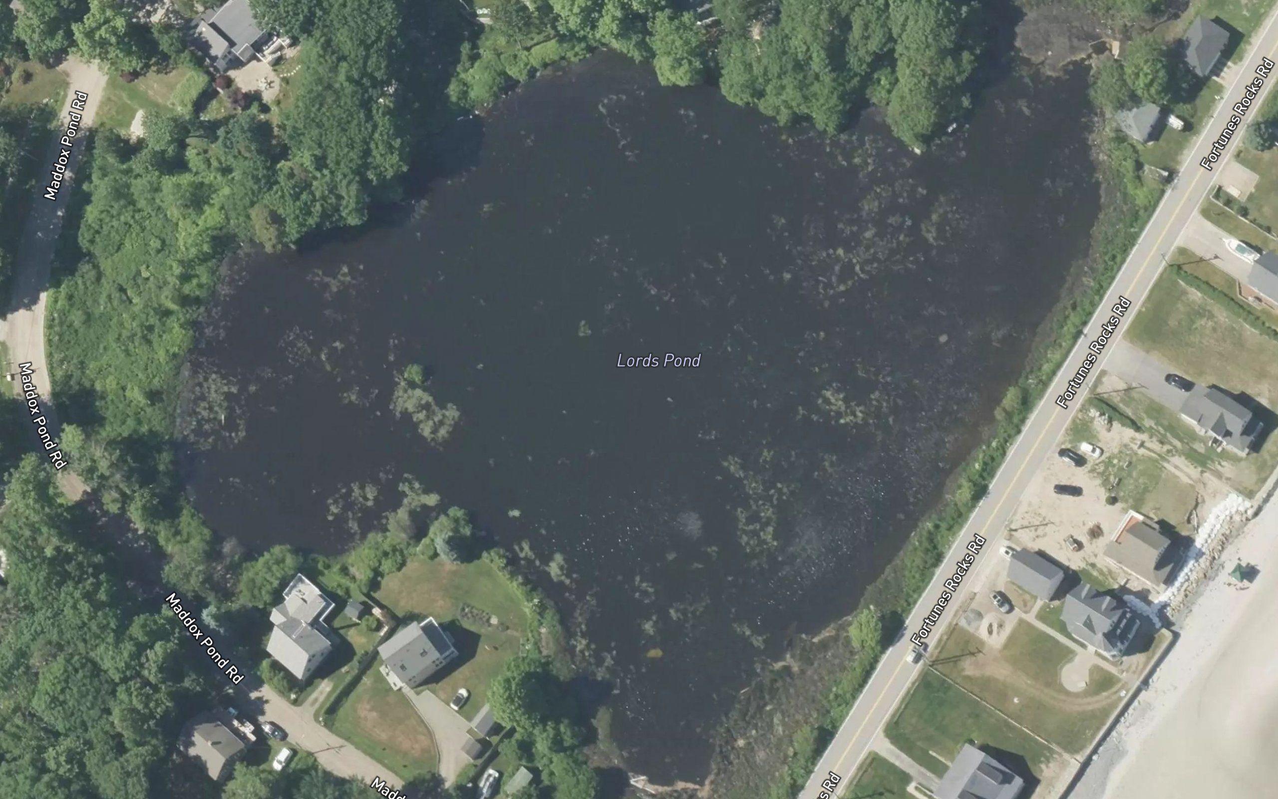 Lords Pond