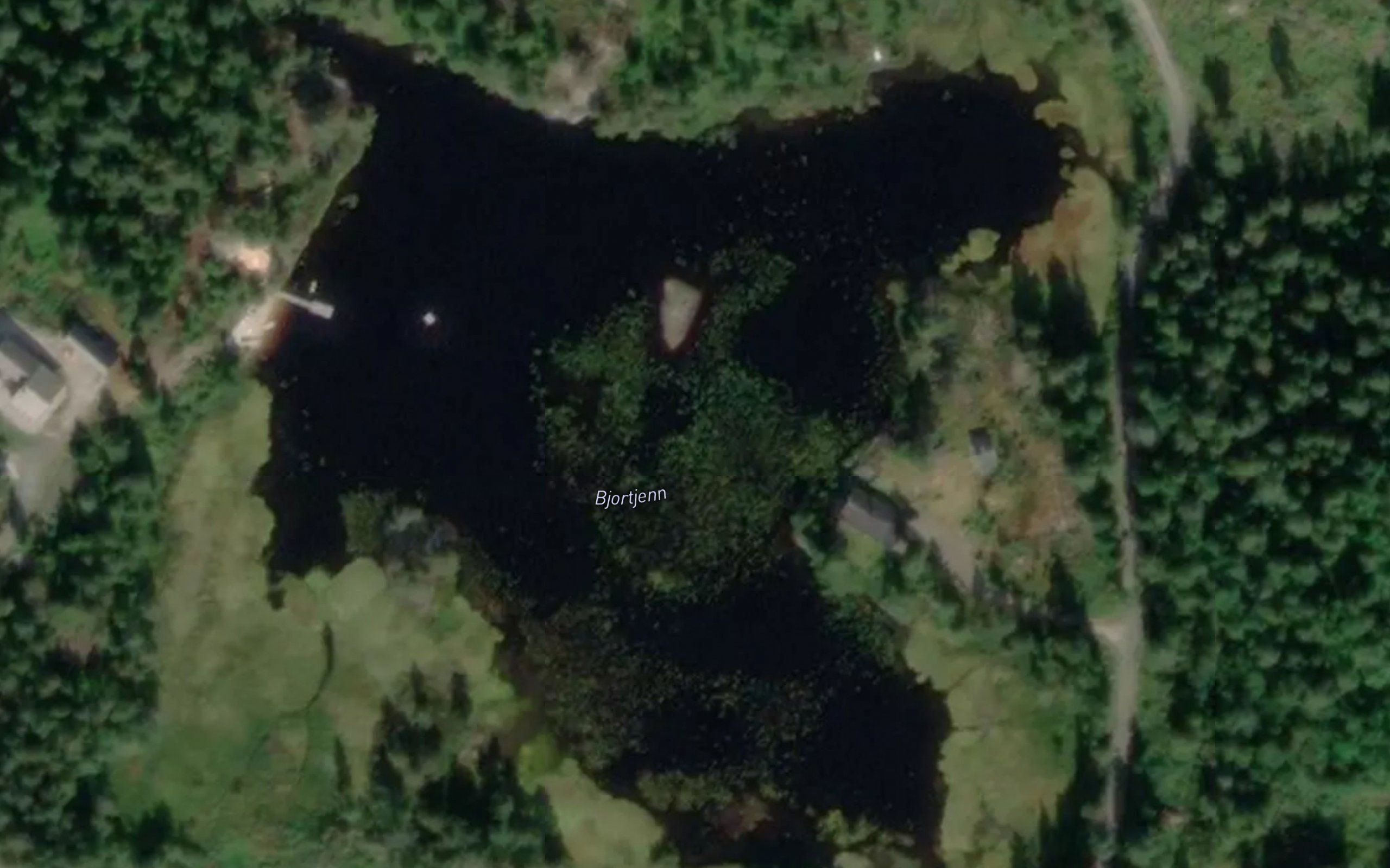 Bjortjorn,nedre