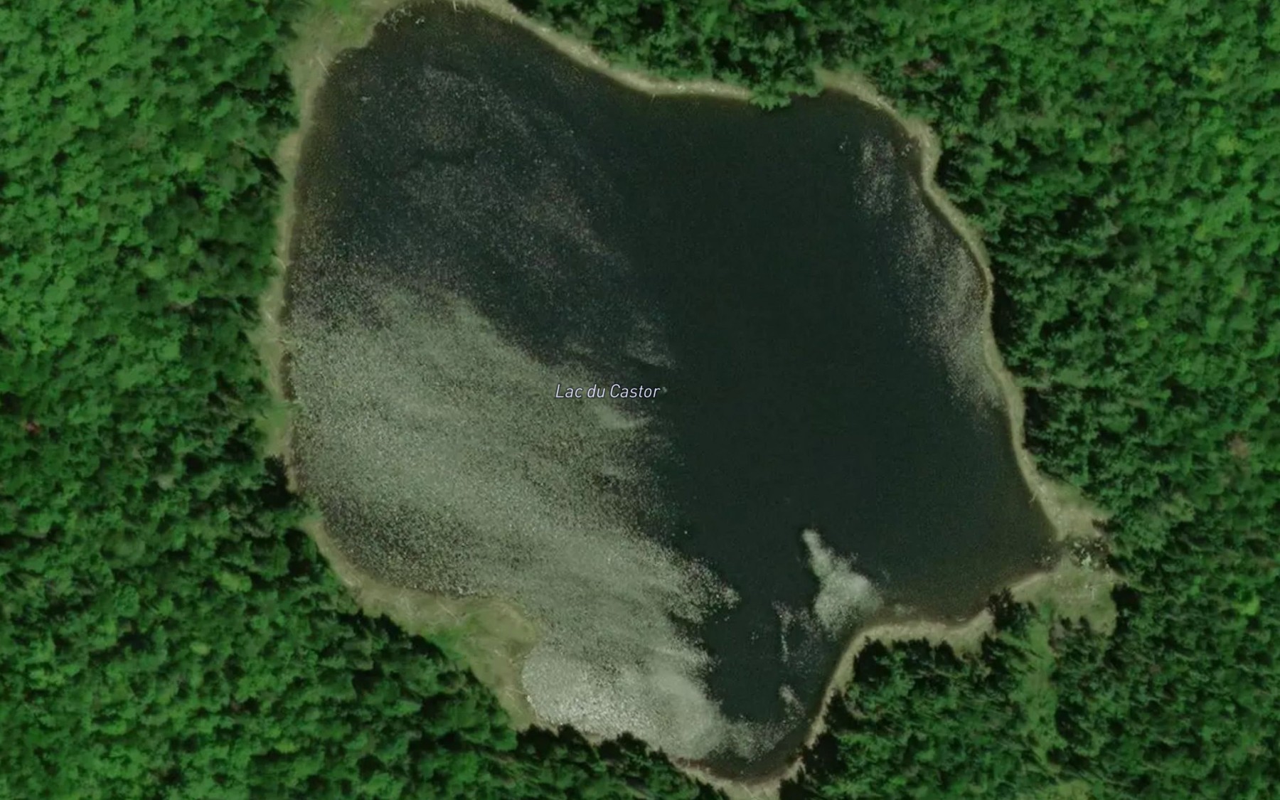 Satellite map of the Lac du Castor