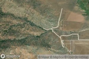 Quail Spring