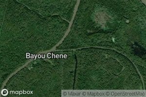 Little Bayou De Plomb