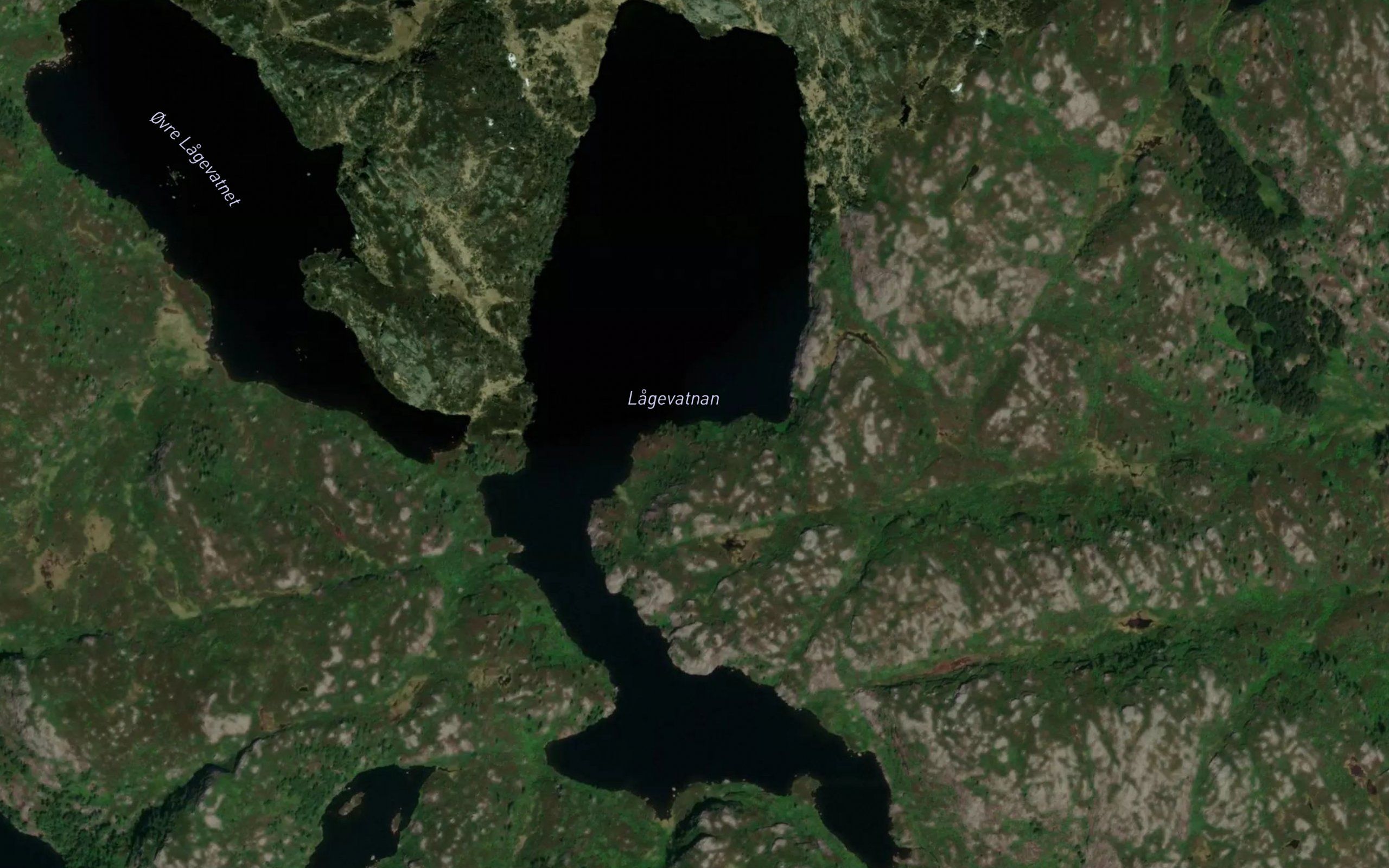 Lagevatnan