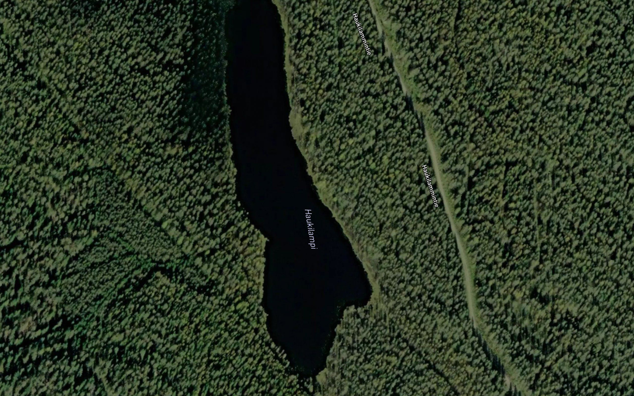 Haukilampi