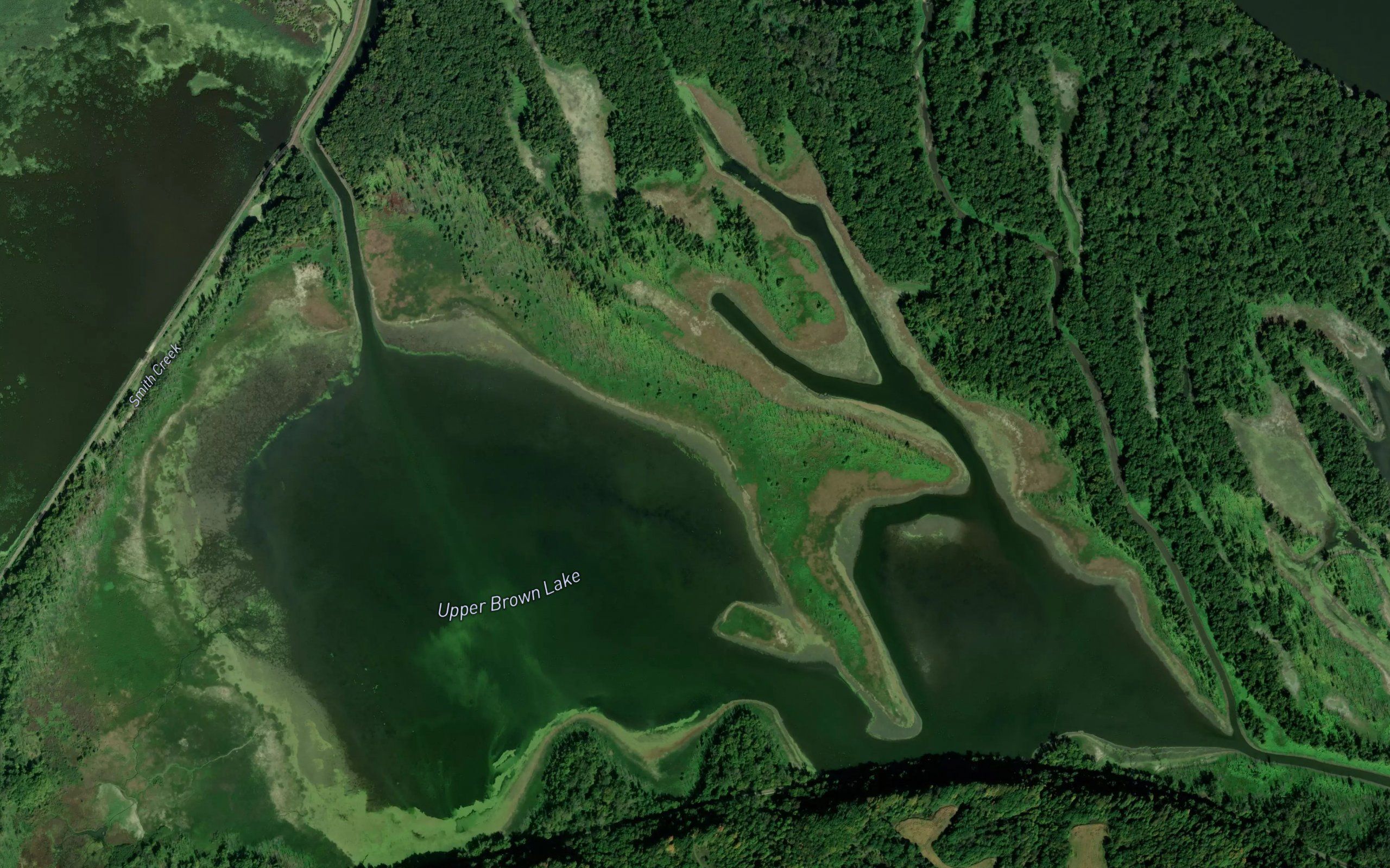 Upper Brown Lake
