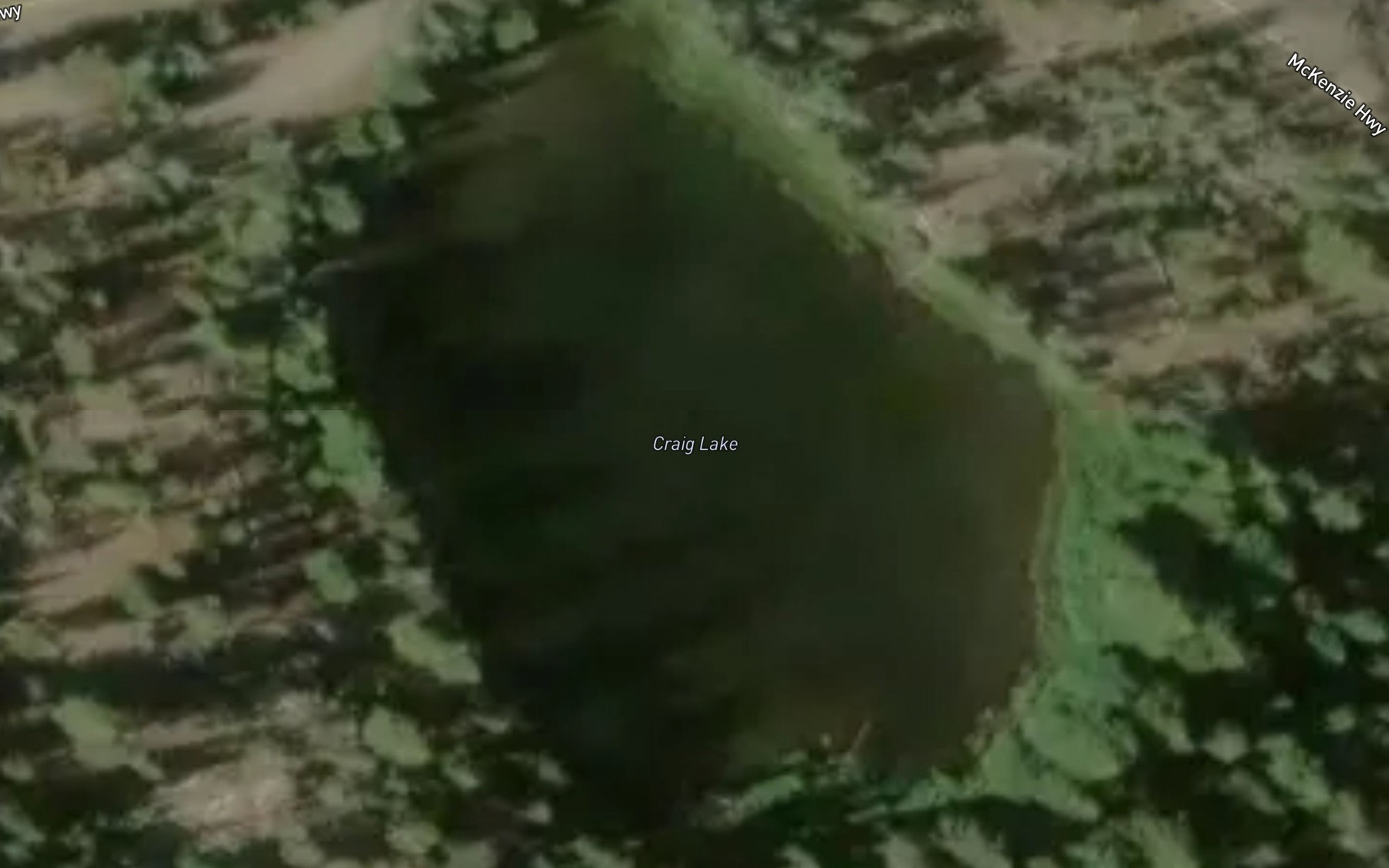 Satellite map of the Craig Lake