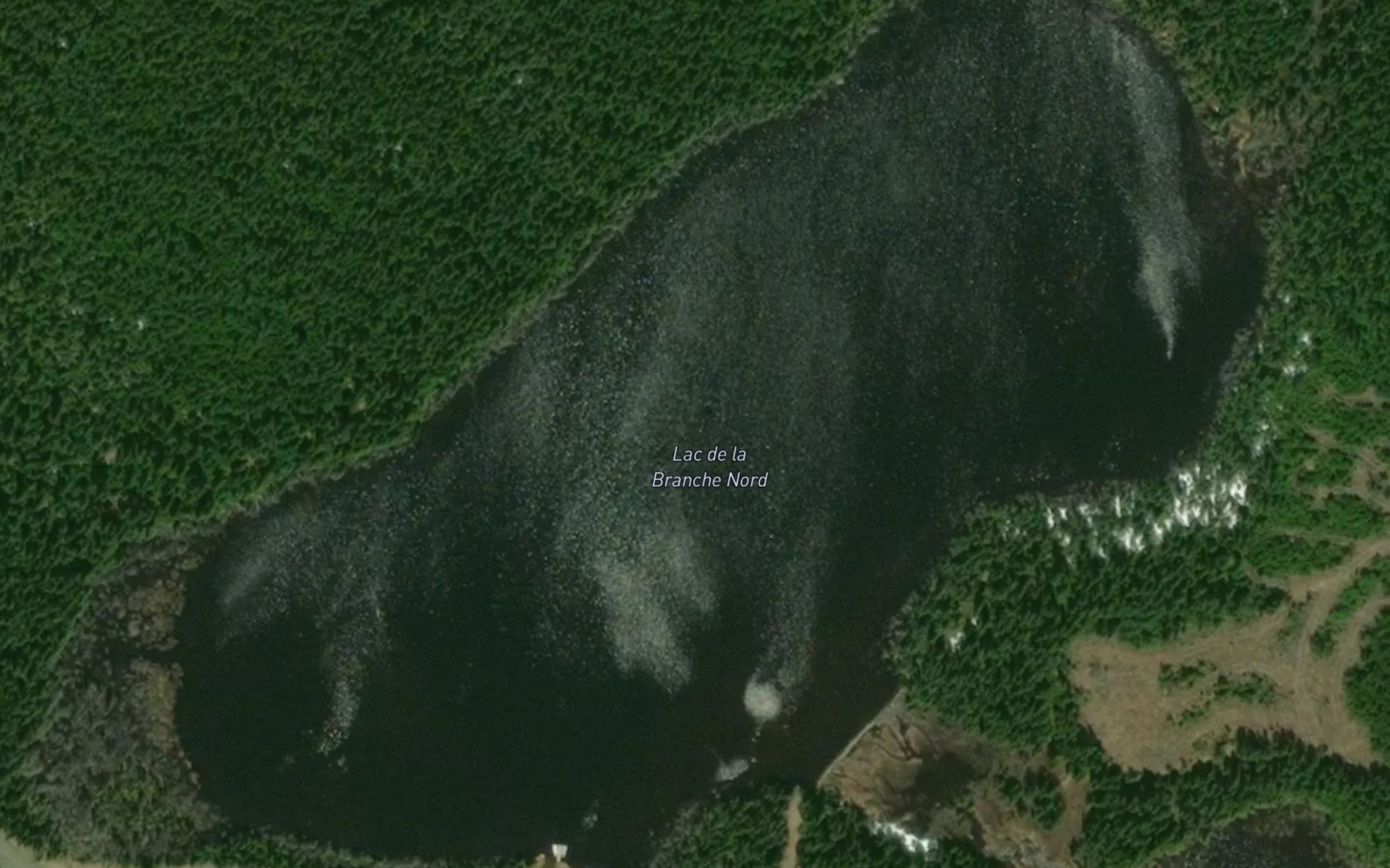 Satellite map of the Lac de la Branche Nord