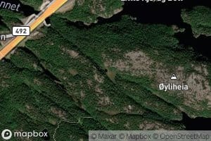 Bjorkedalstjonna
