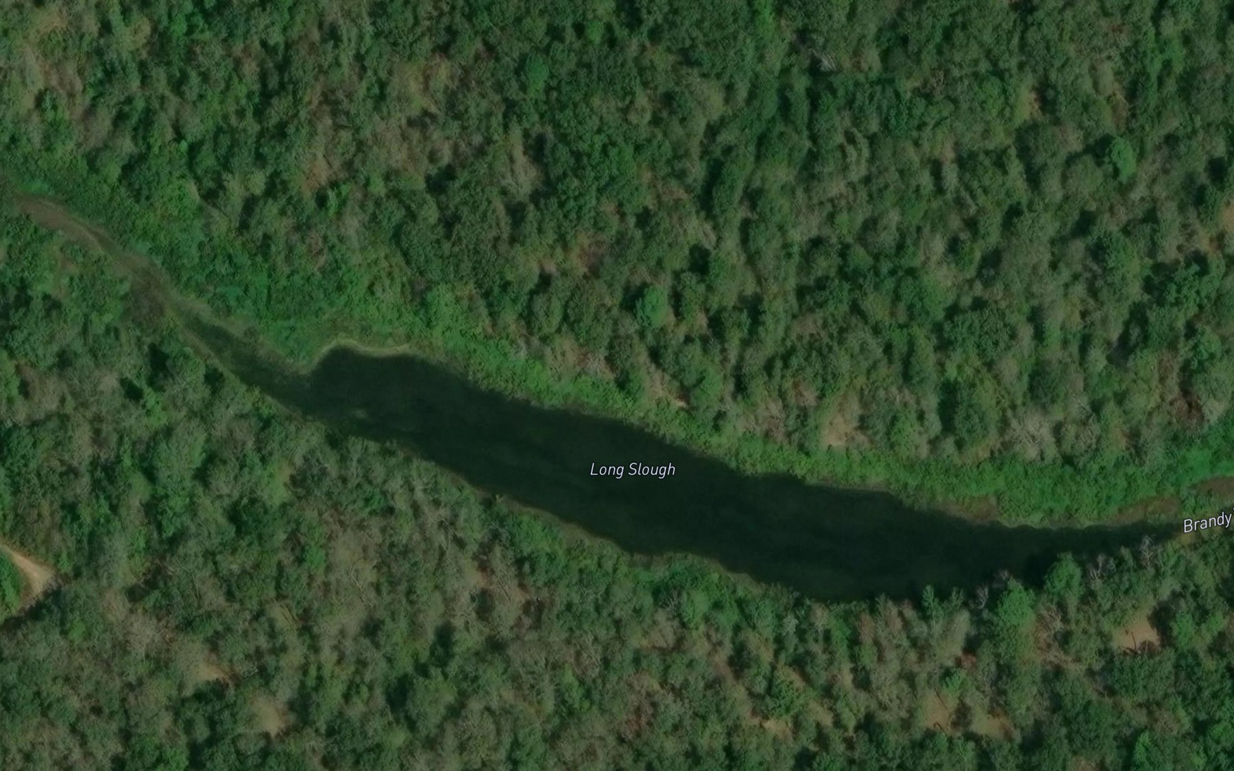 Satellite map of the Long Slough