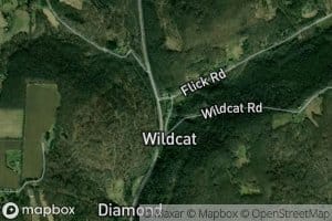 Wildcat Run East Fork