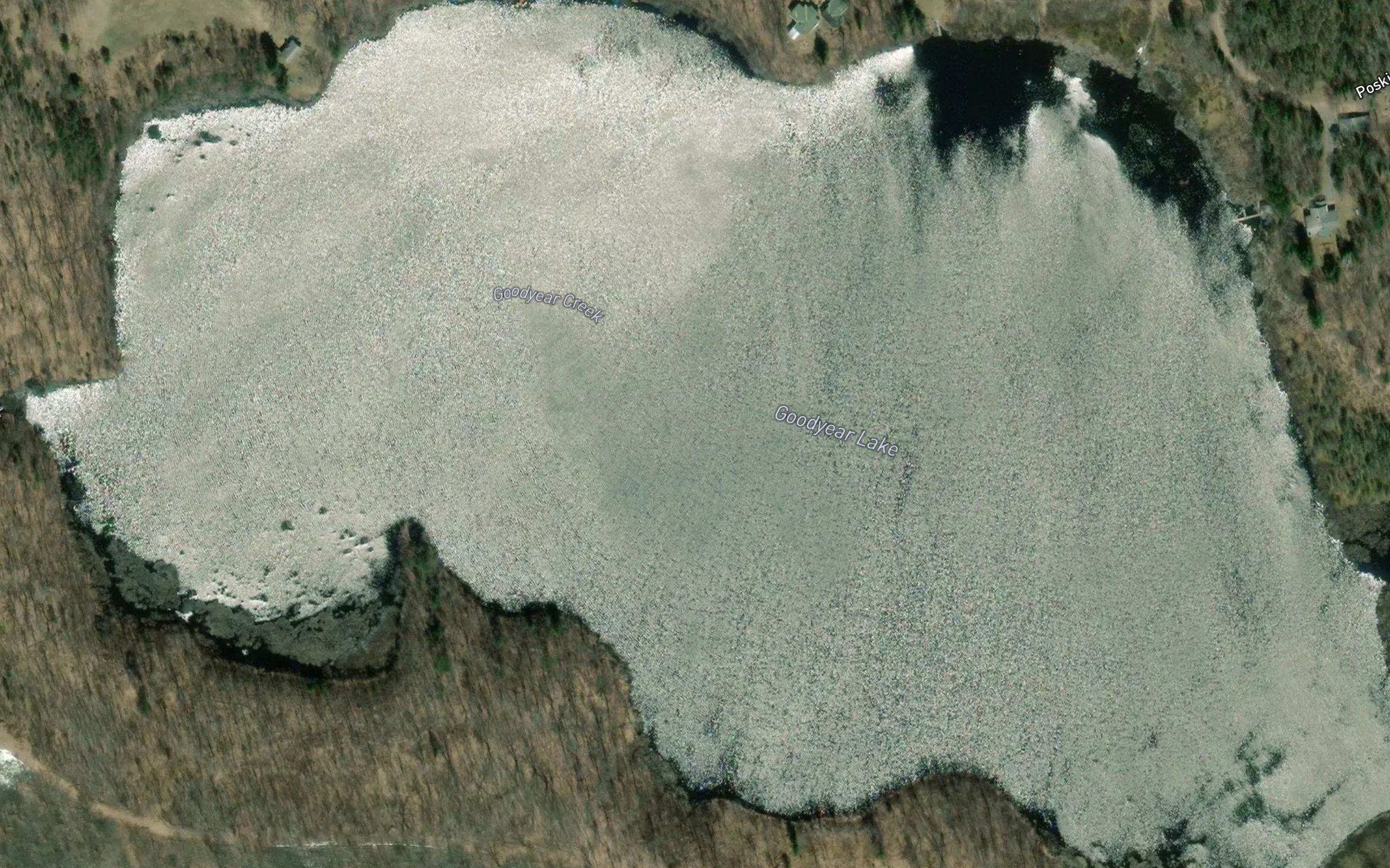 Goodyear Lake