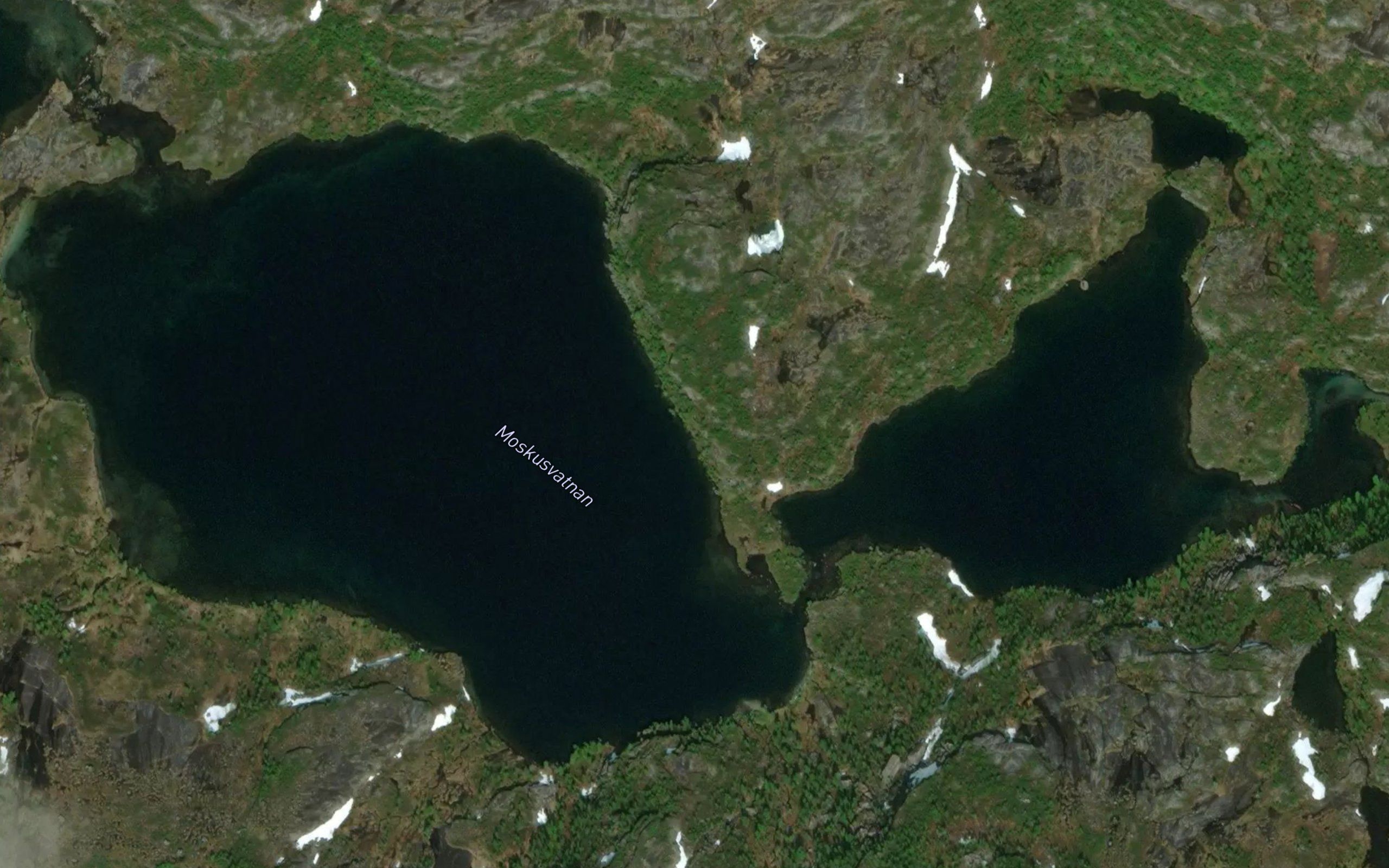 Moskusvatnan