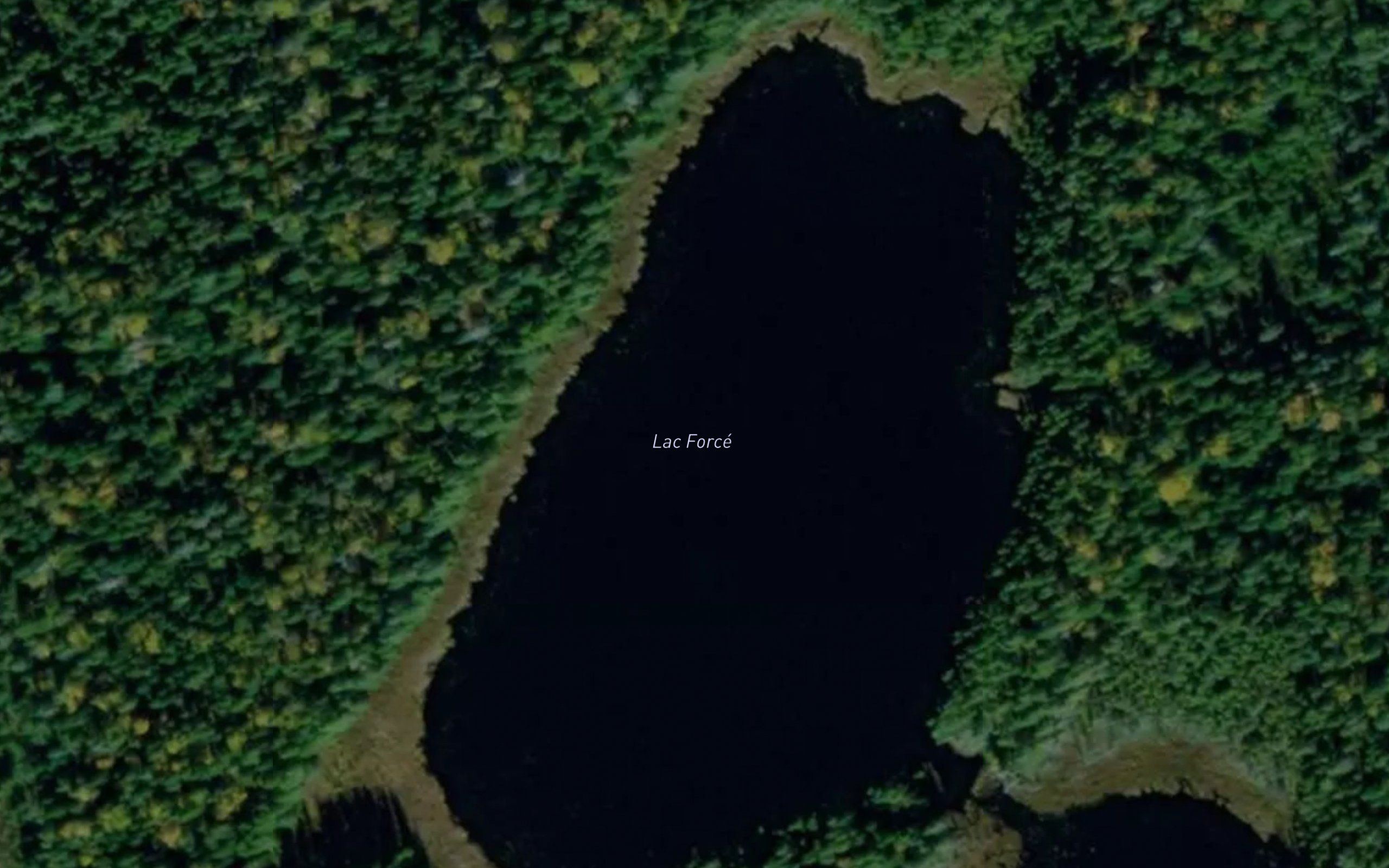 Lac Force