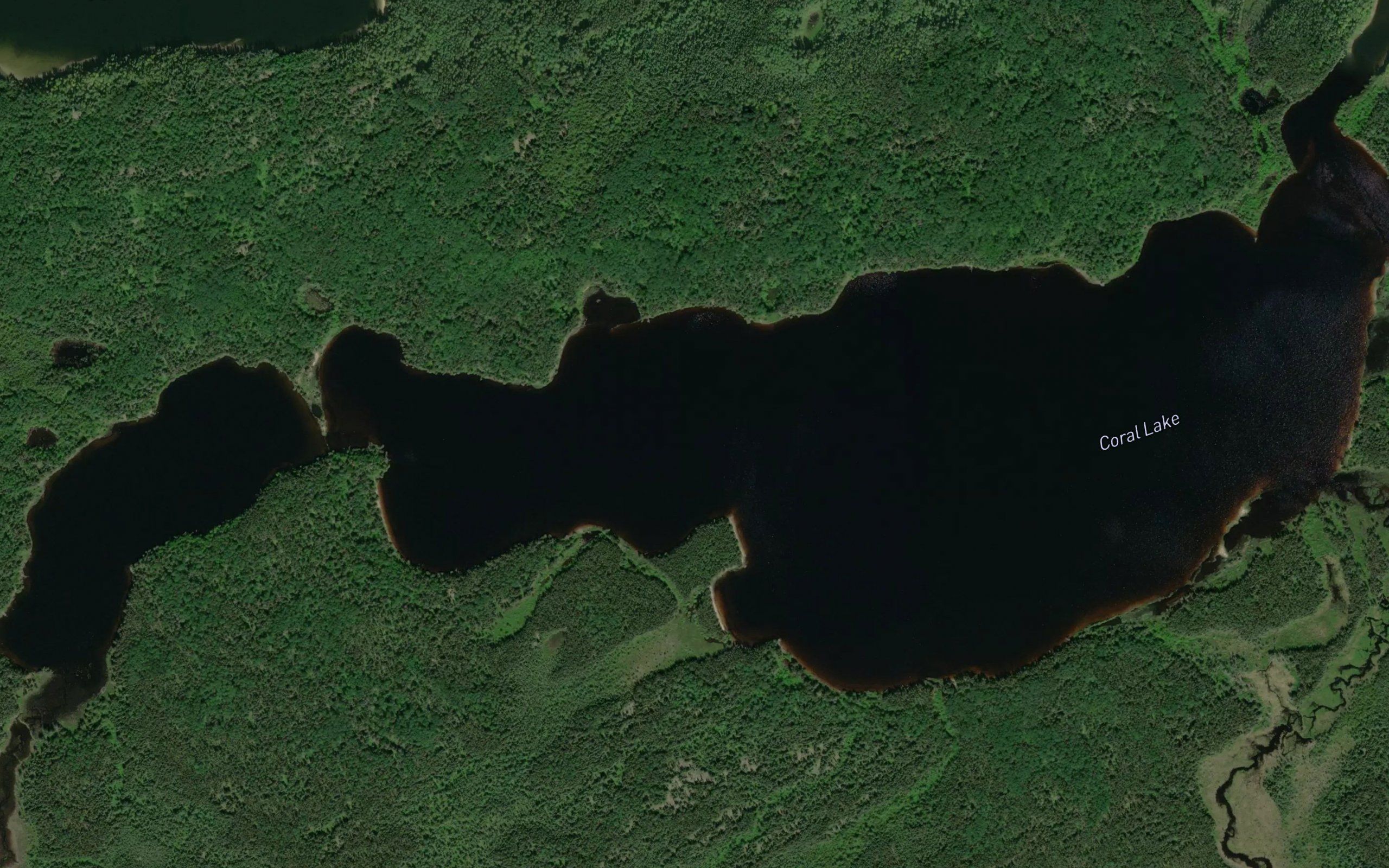 Coral Lake