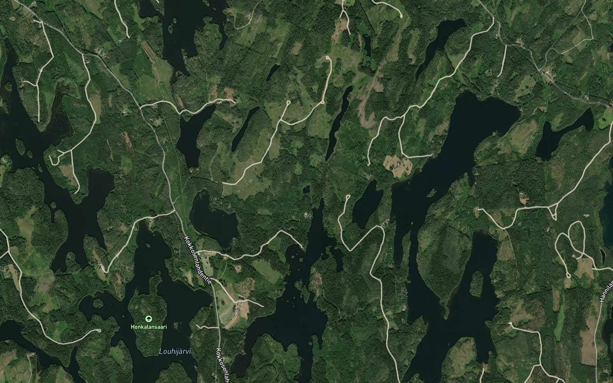 Heinalampi
