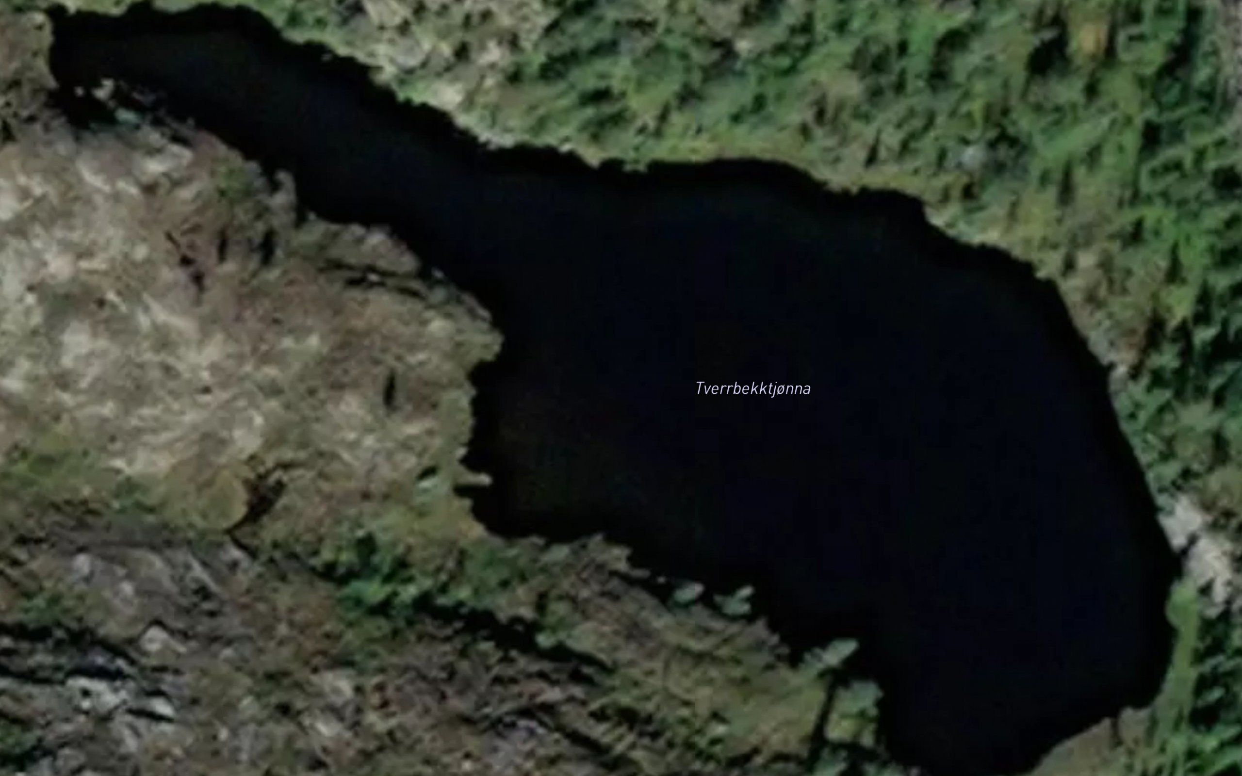 Tverrbekktjorna