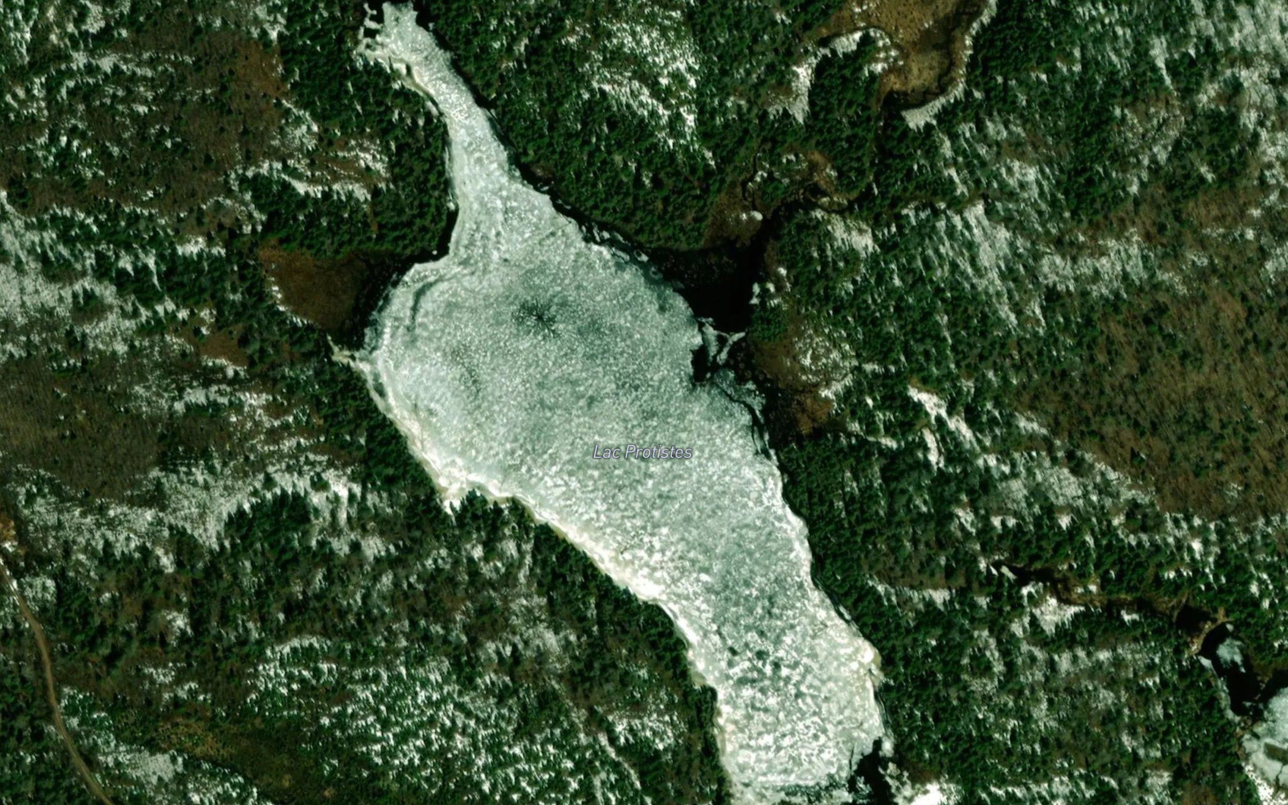 Lac Protistes