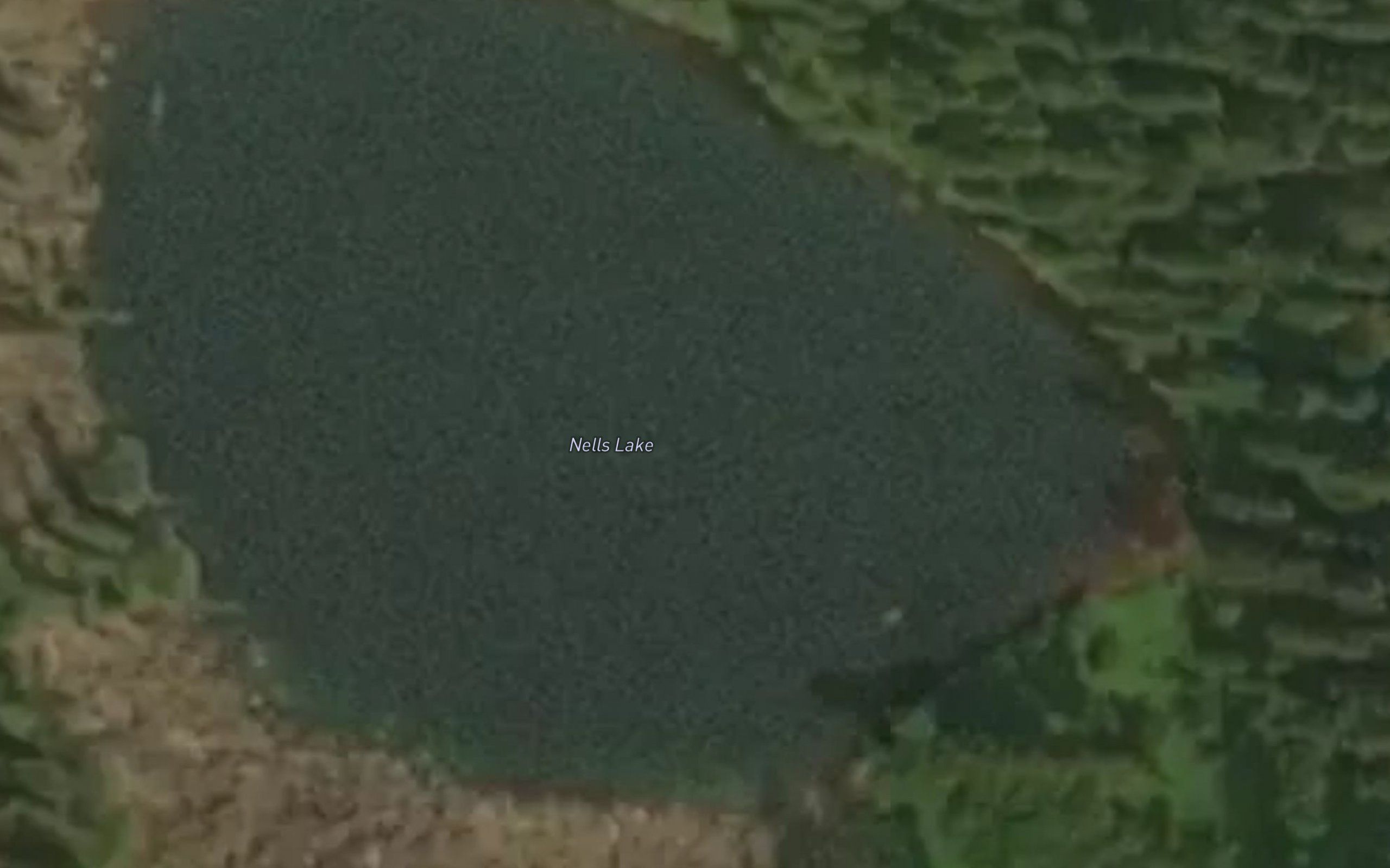 Nels Lake
