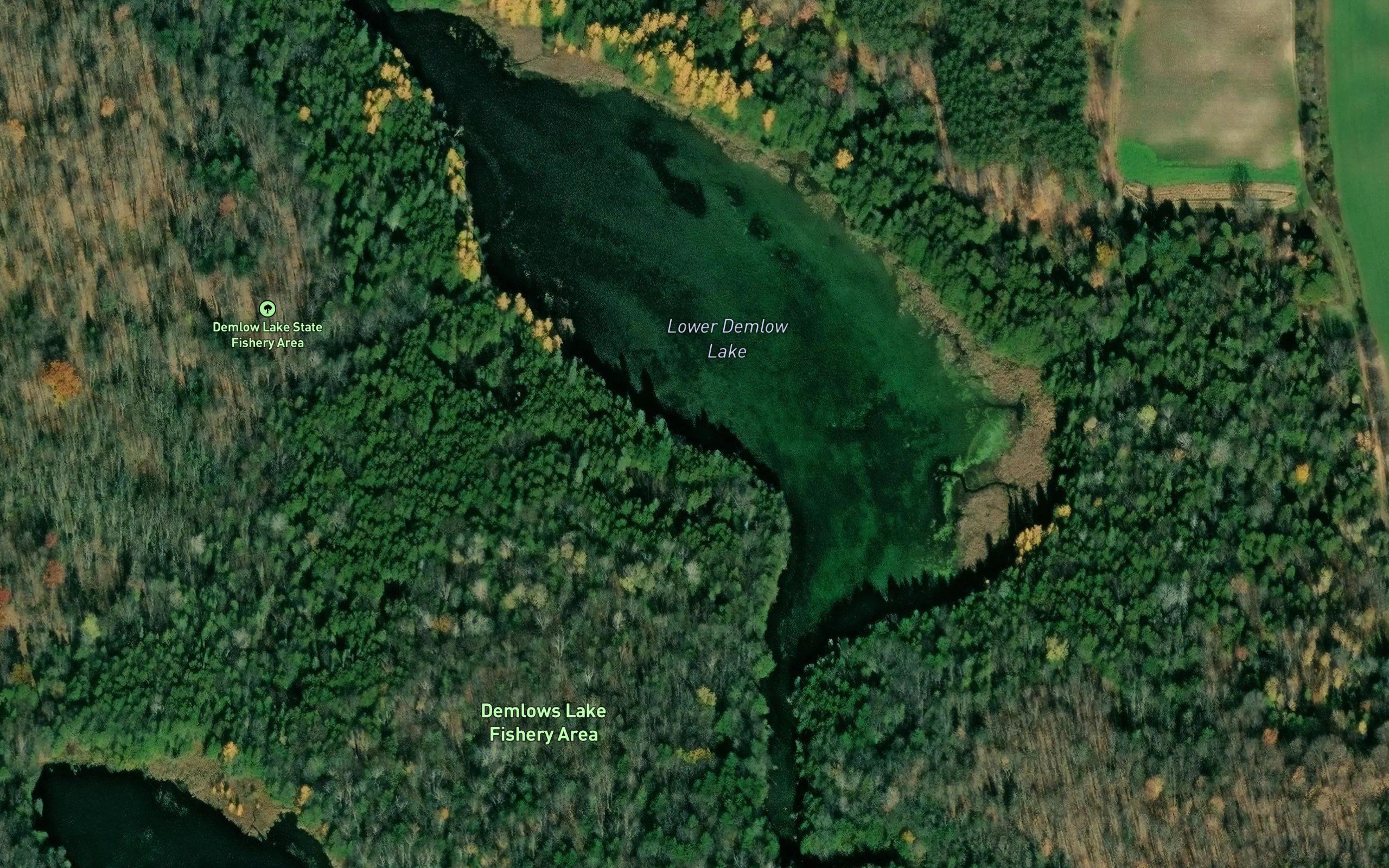 Lower Demlow Lake