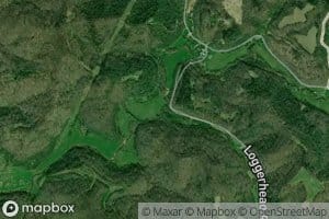 Loggerhead Fork