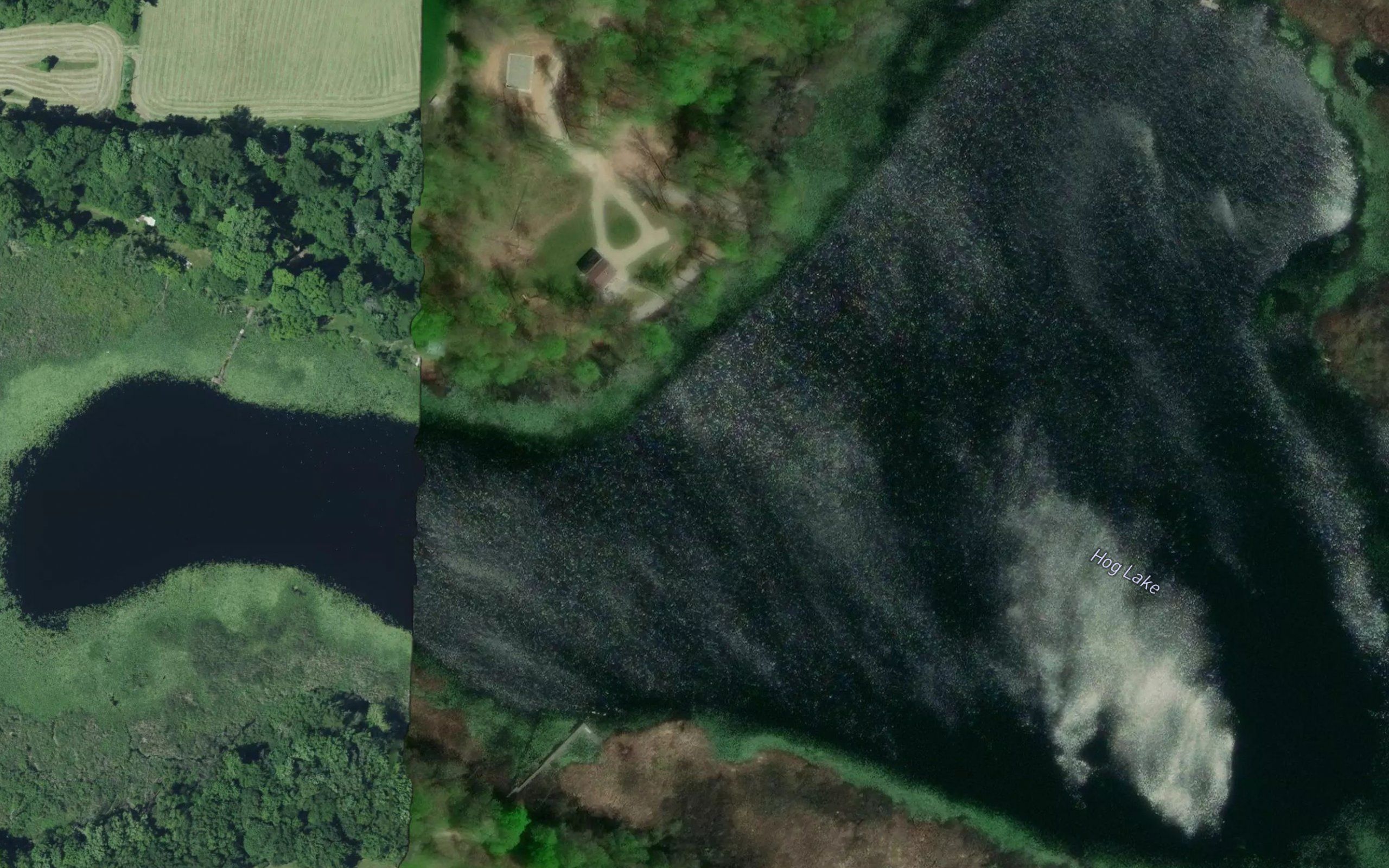 Hog Lake