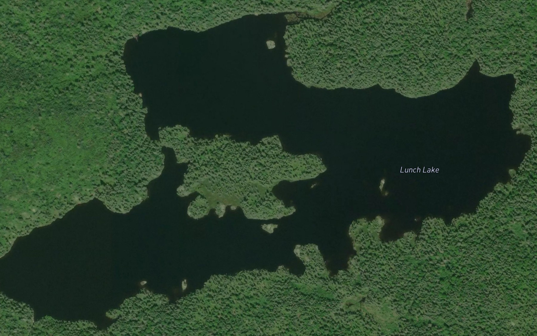 Satellite map of the Lunch Lake