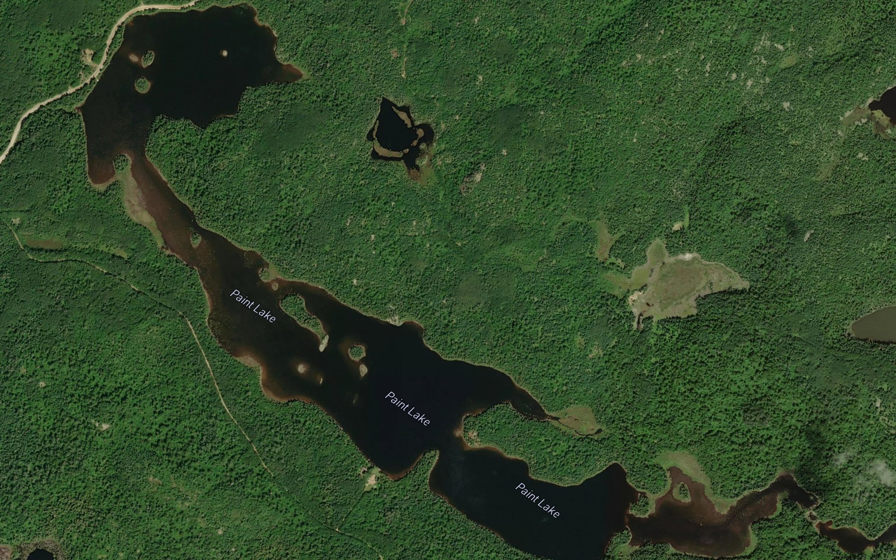 Satellite map of the Paint Lake