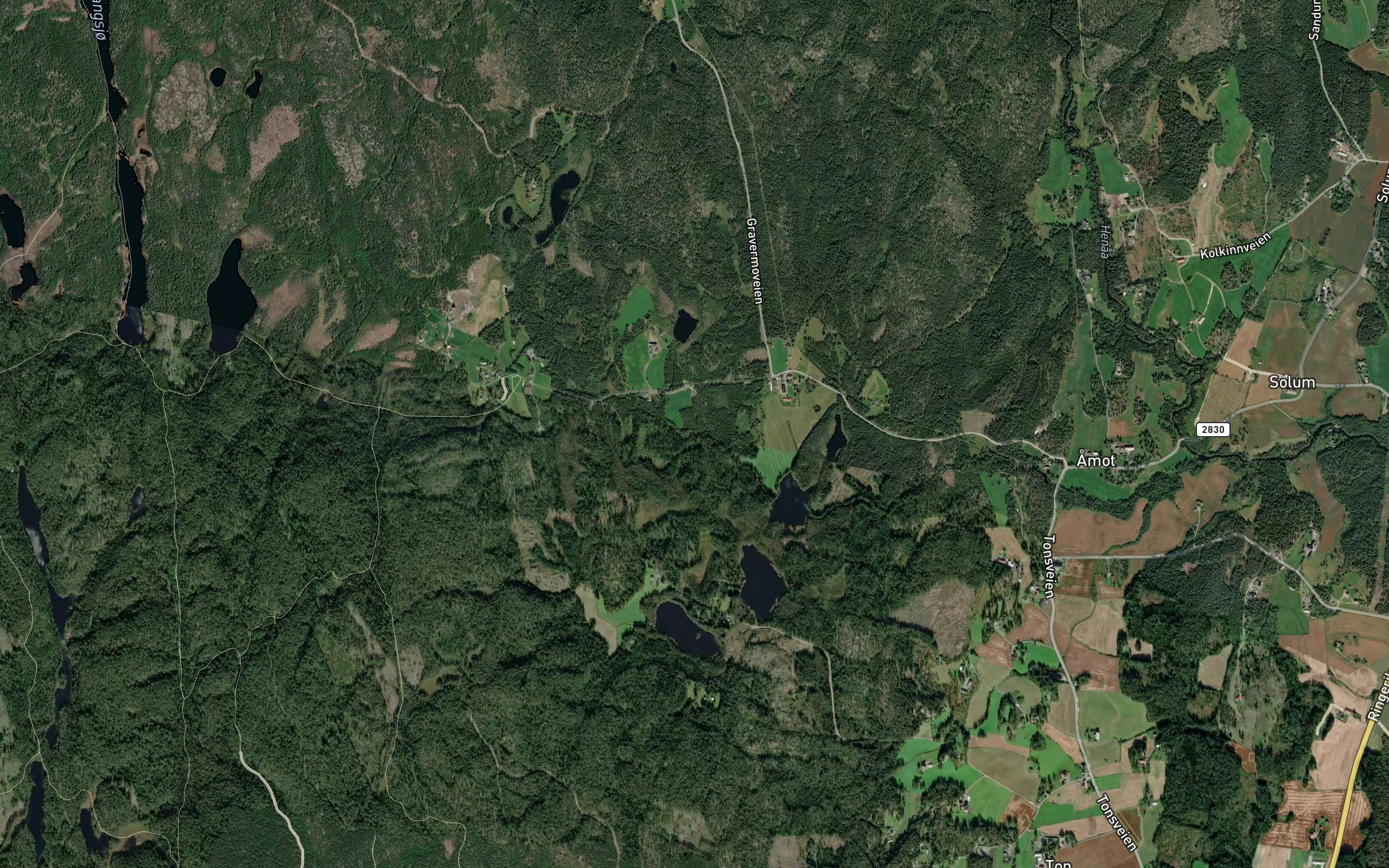 Vesleelva