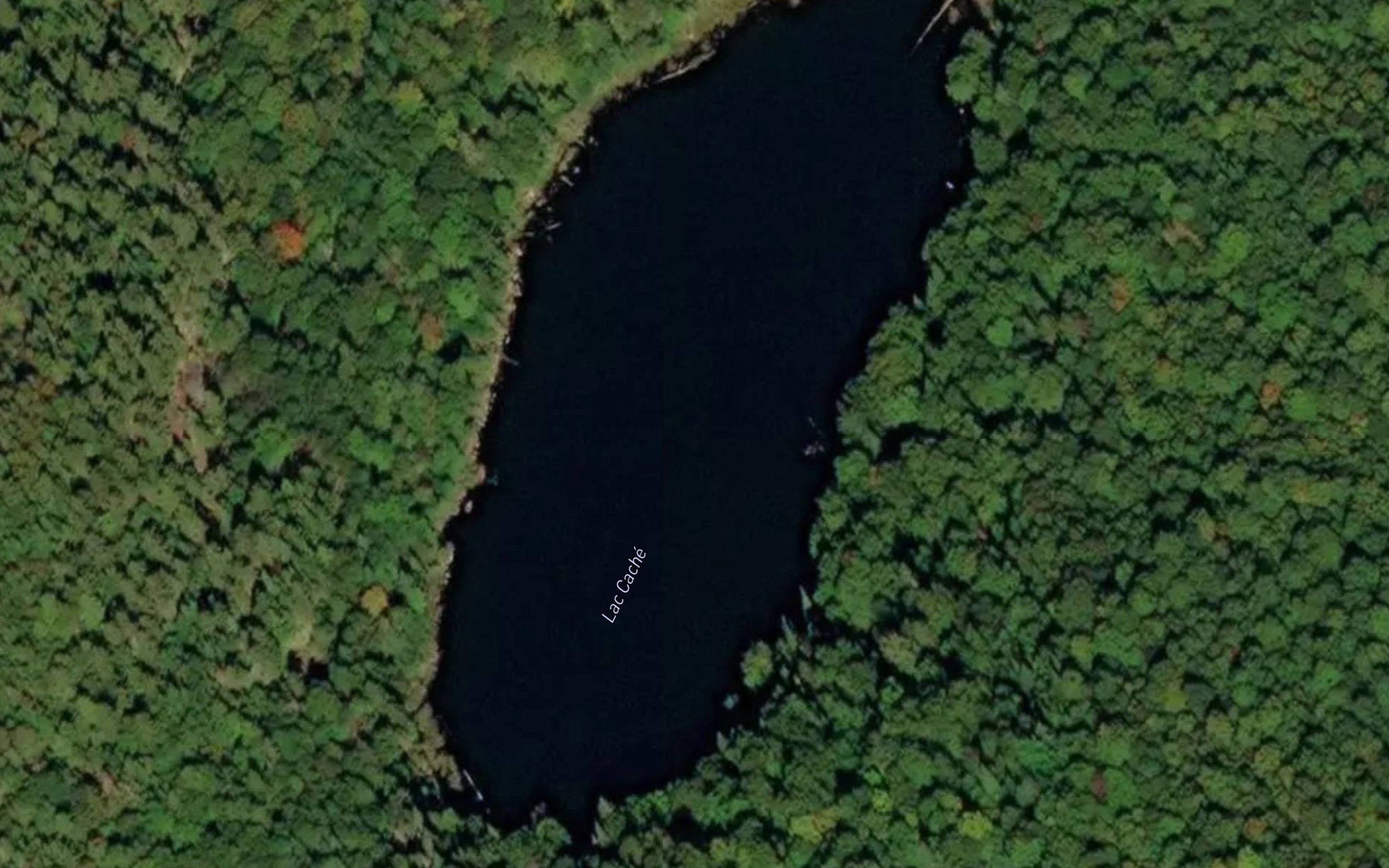 Lac Cache