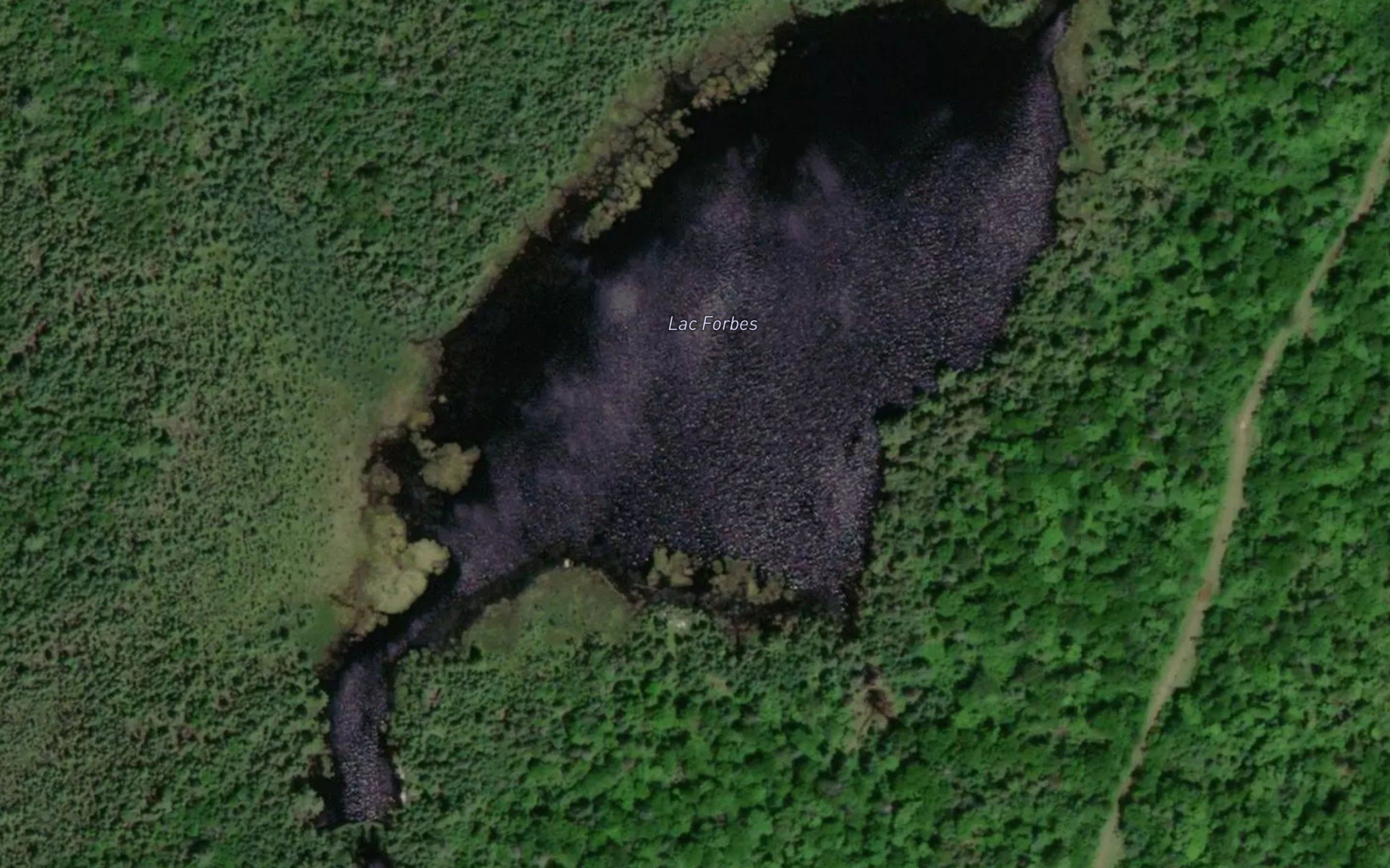 Lac Forbes