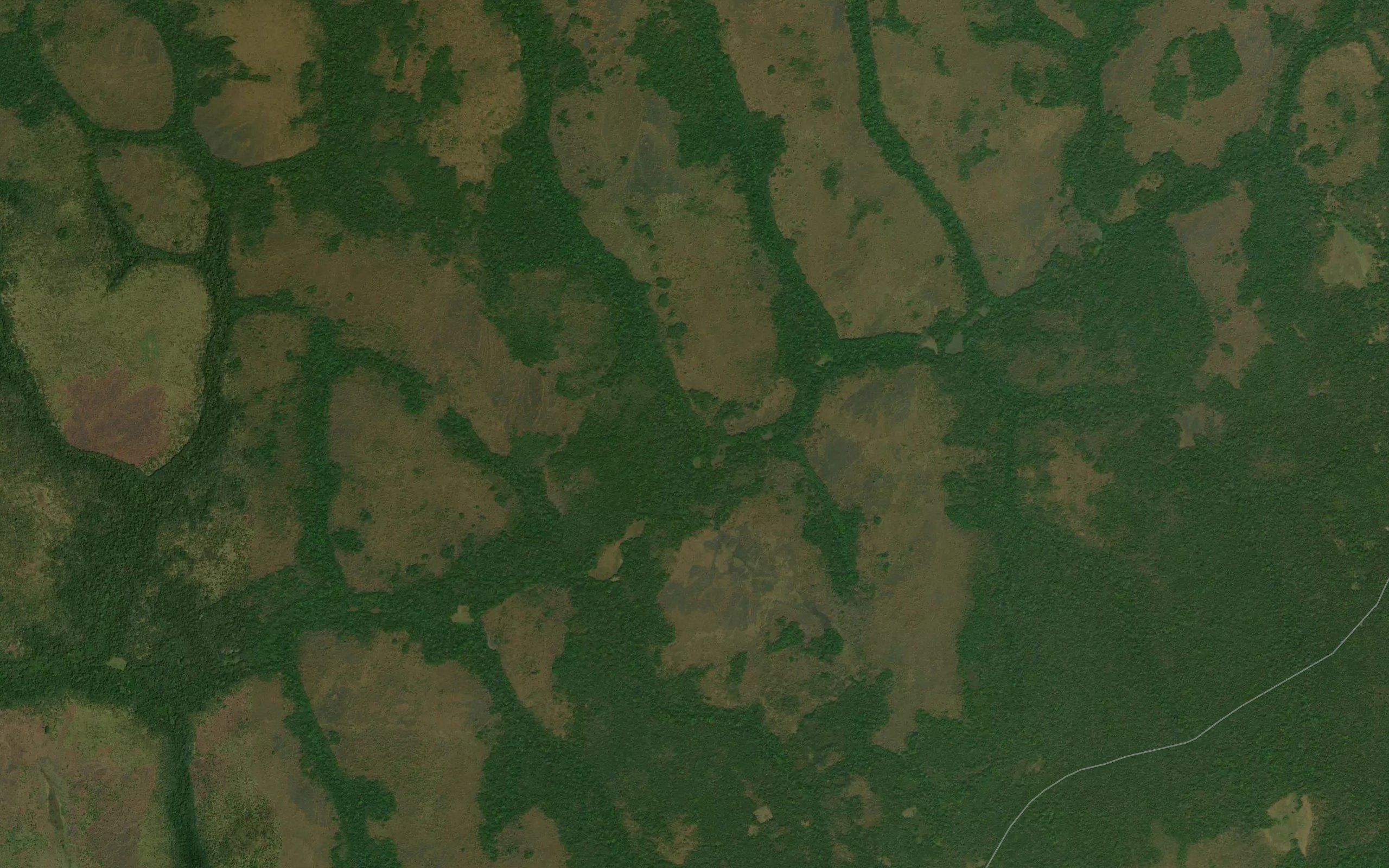 Nzuka