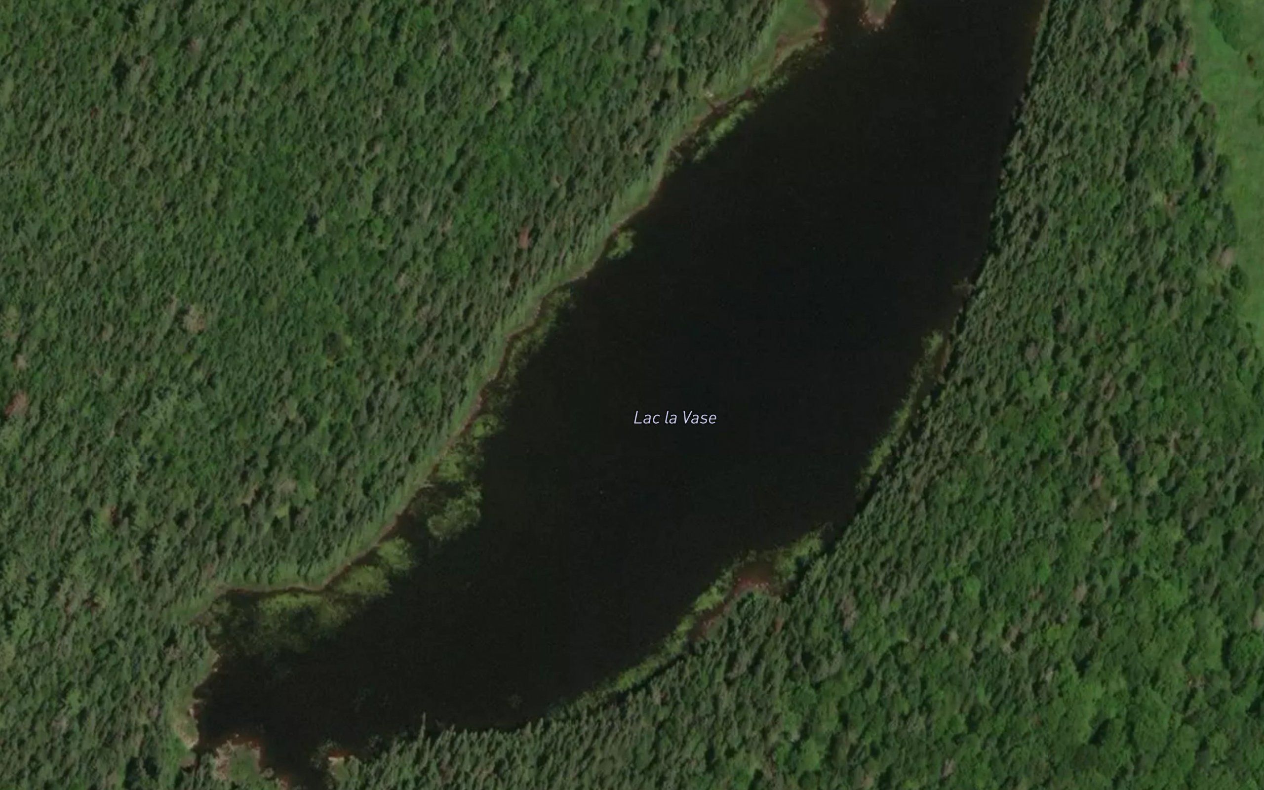 Lac la Vase