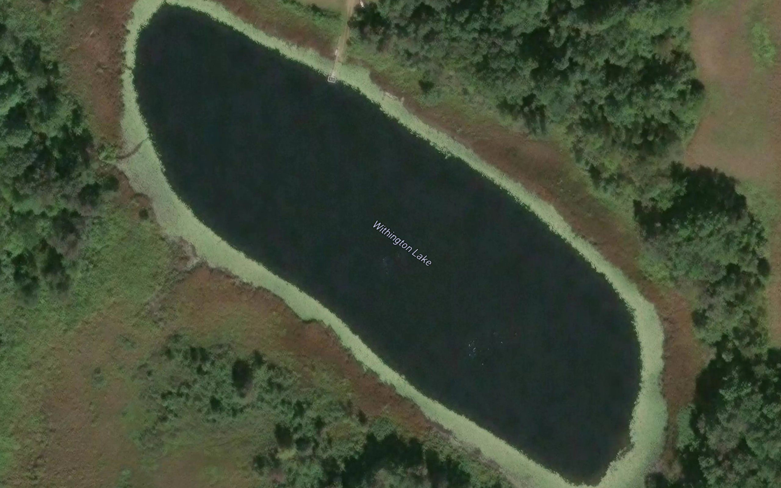 Withington Lake