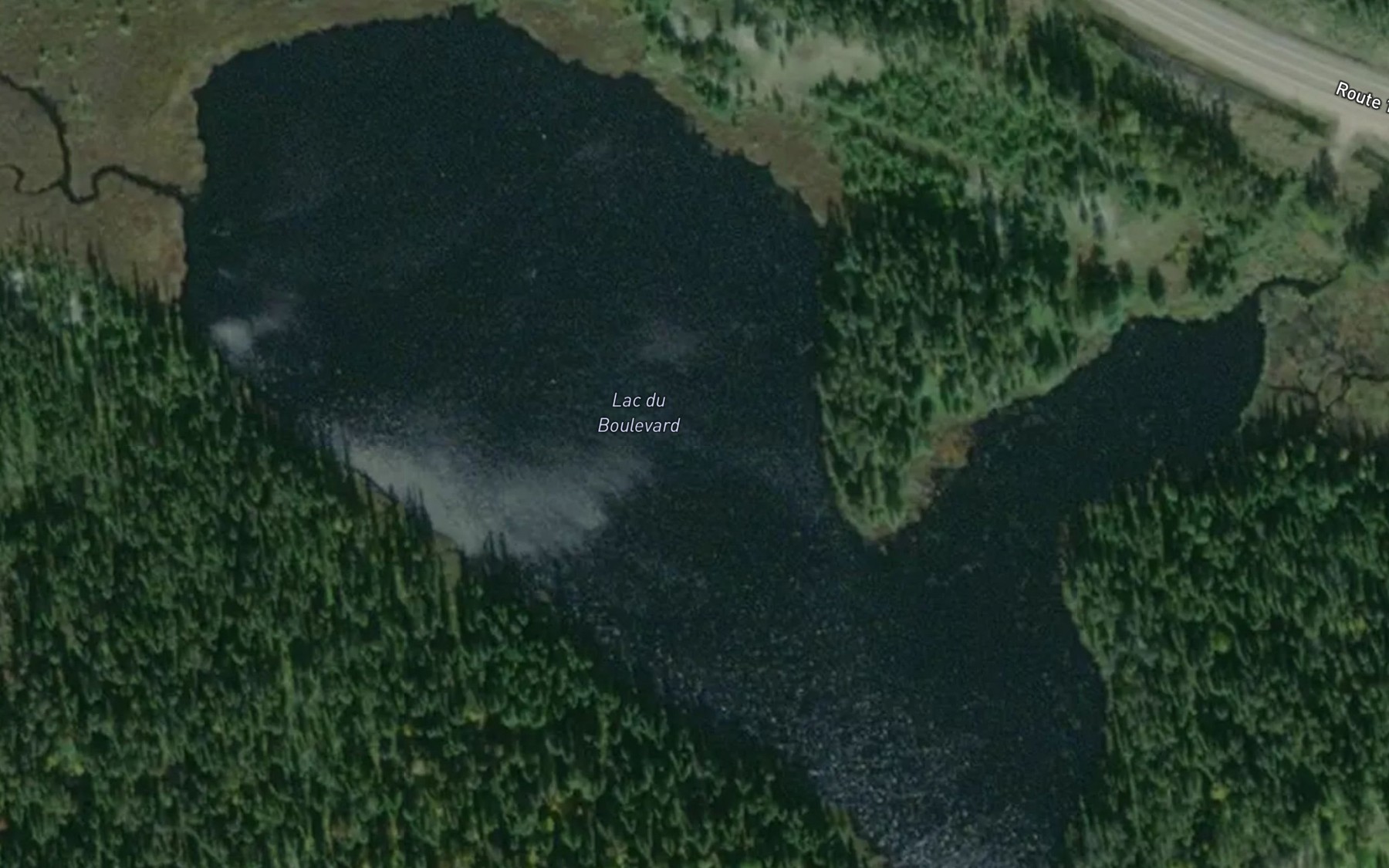 Satellite map of the Lac du Boulevard