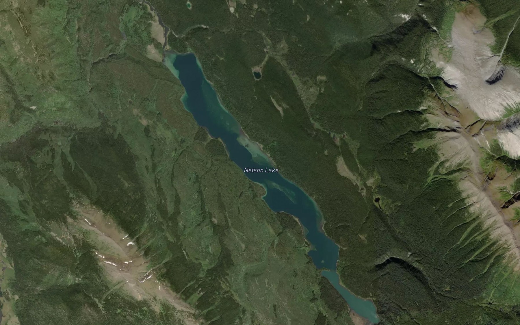 Satellite map of the Netson Lake