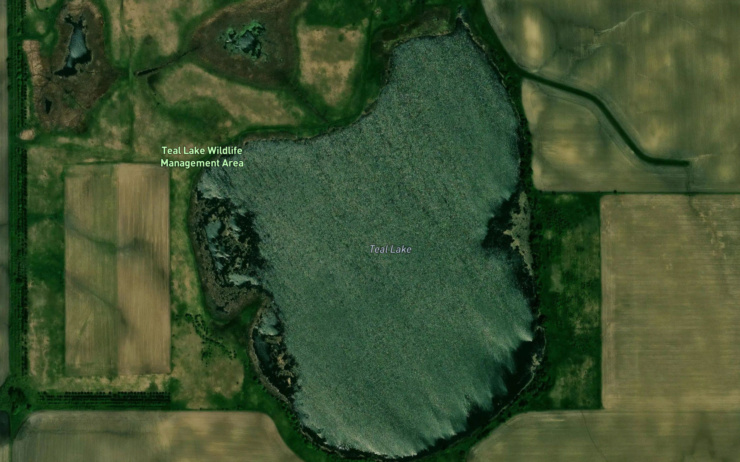Teal Lake