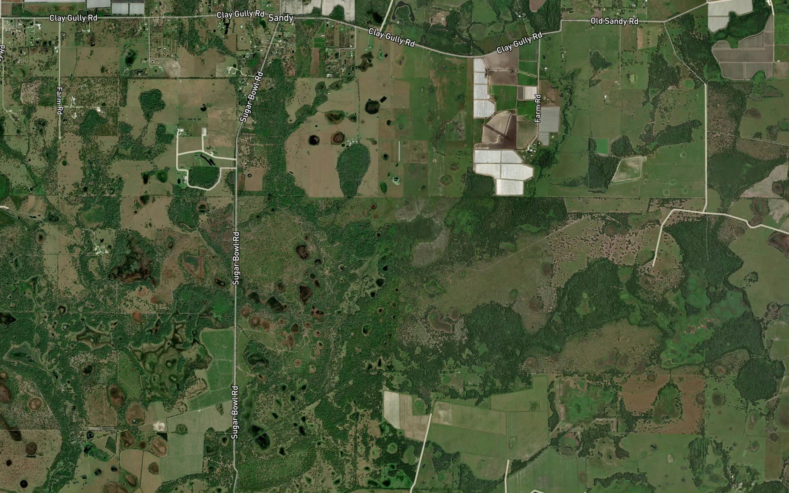 Wildcat Slough