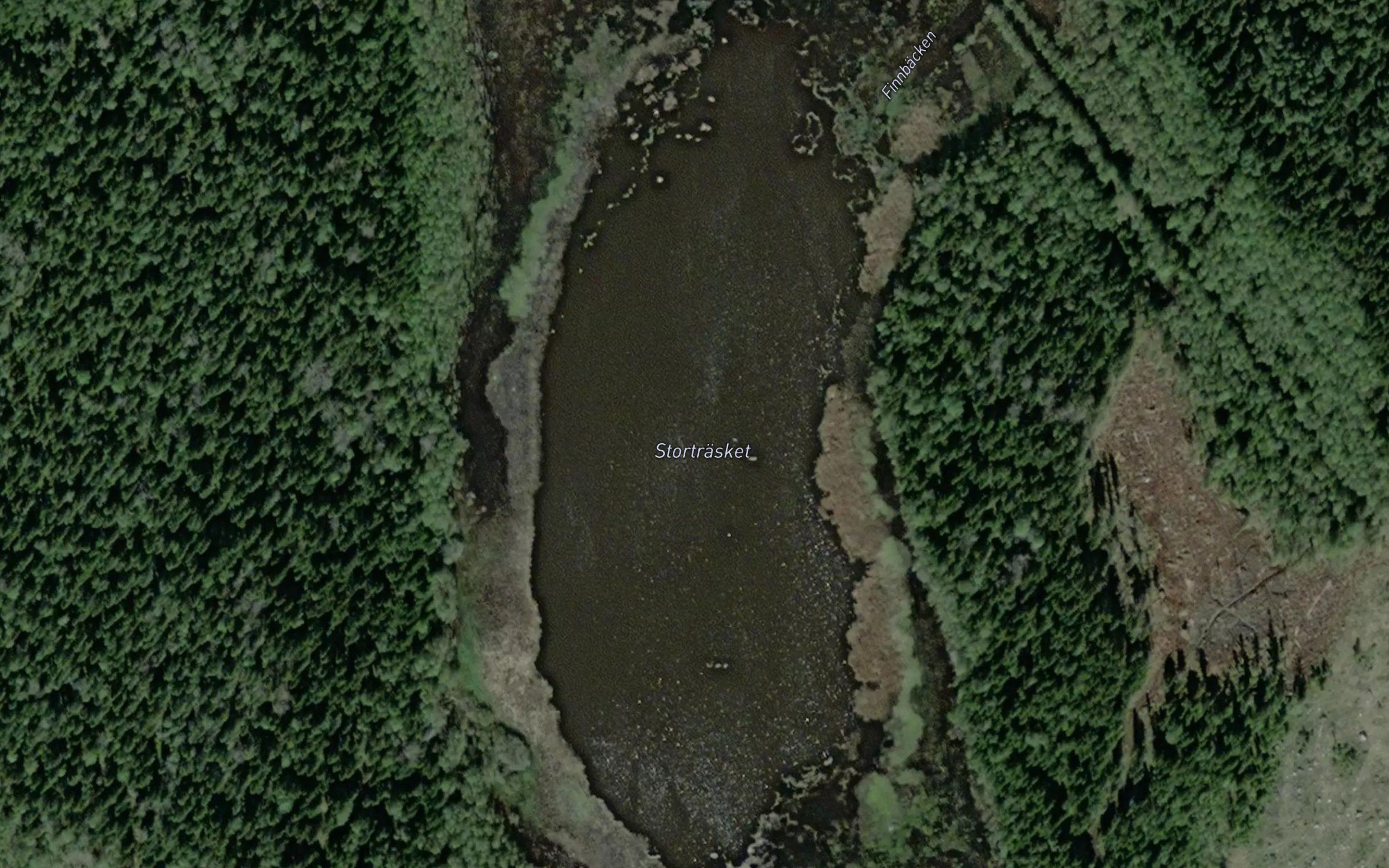 Stortrasket
