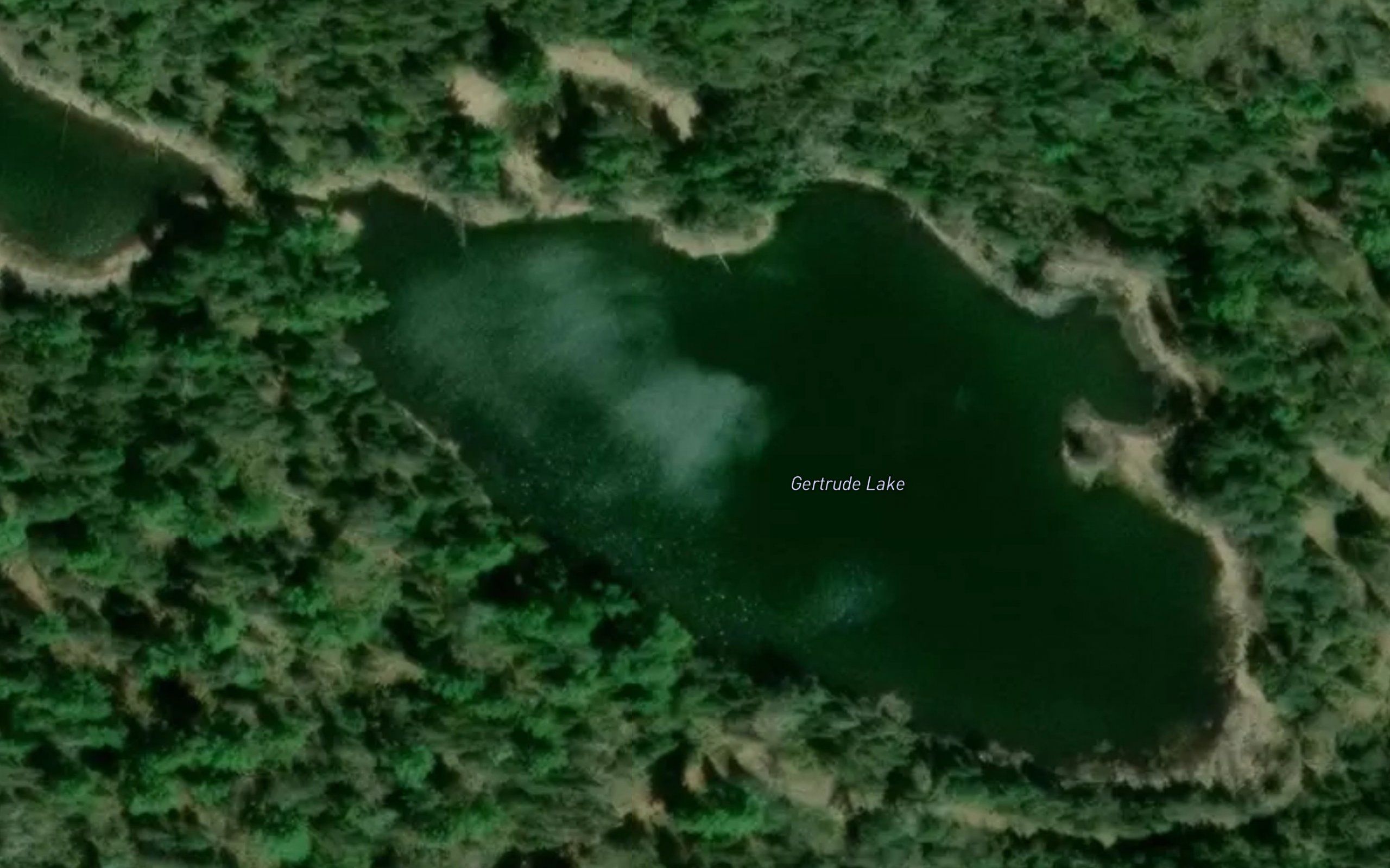 Gertrude Lake