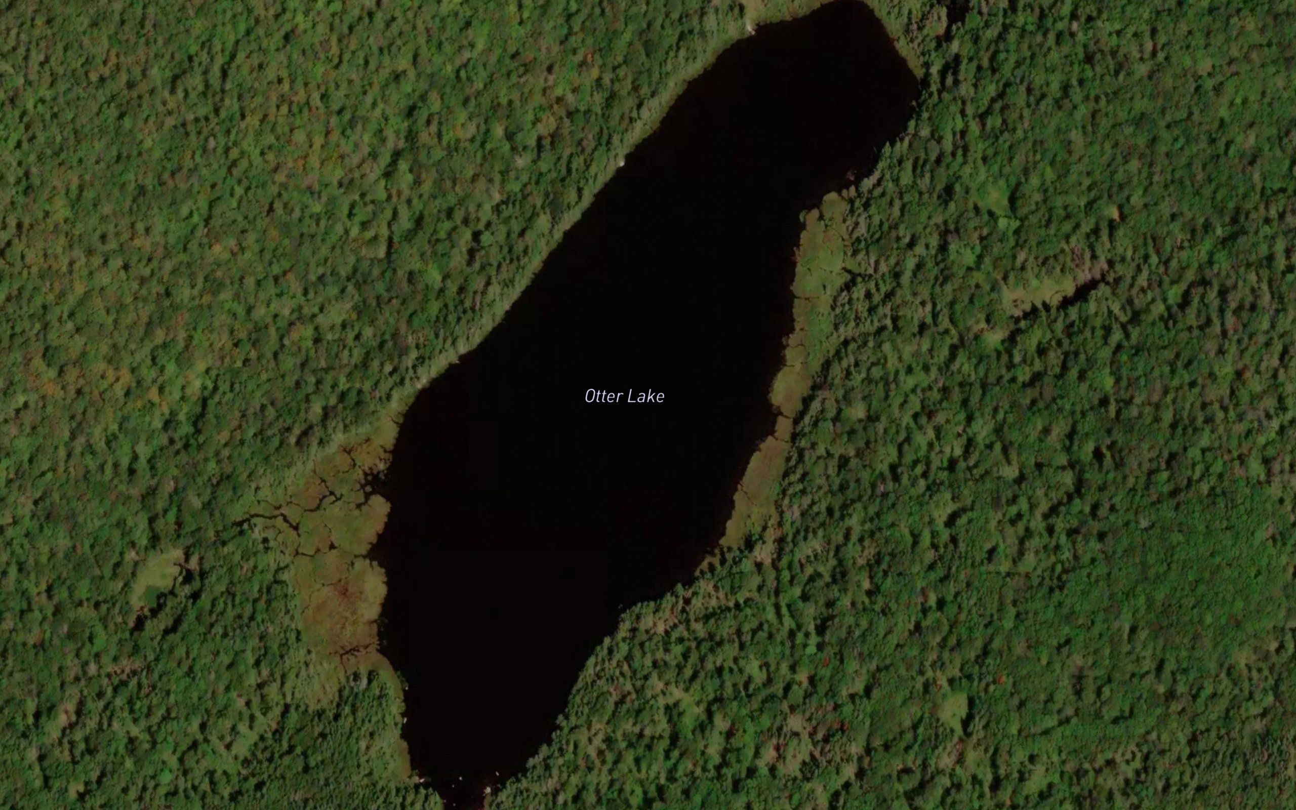 Otter Lake