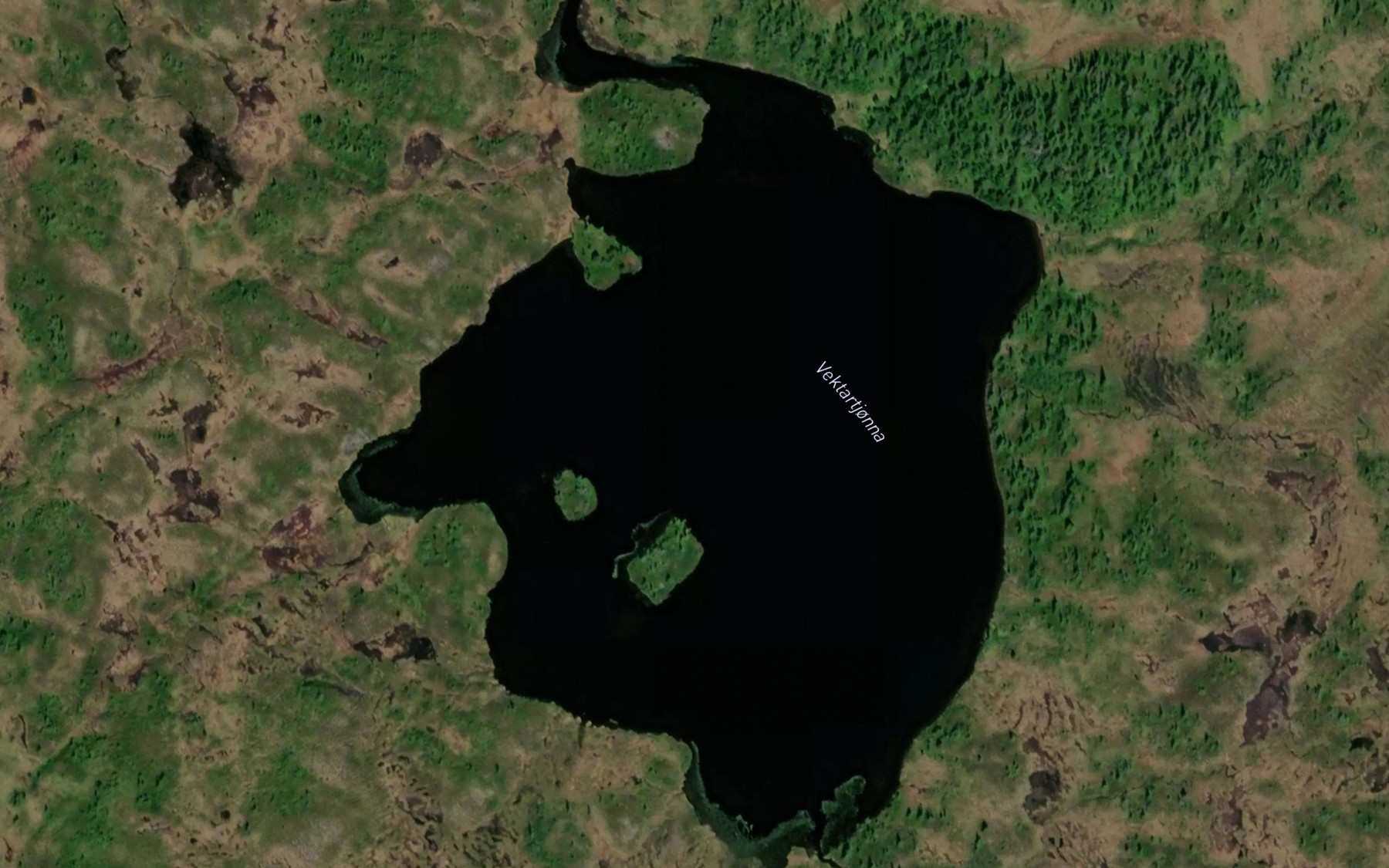Satellite map of the Vektartjonna