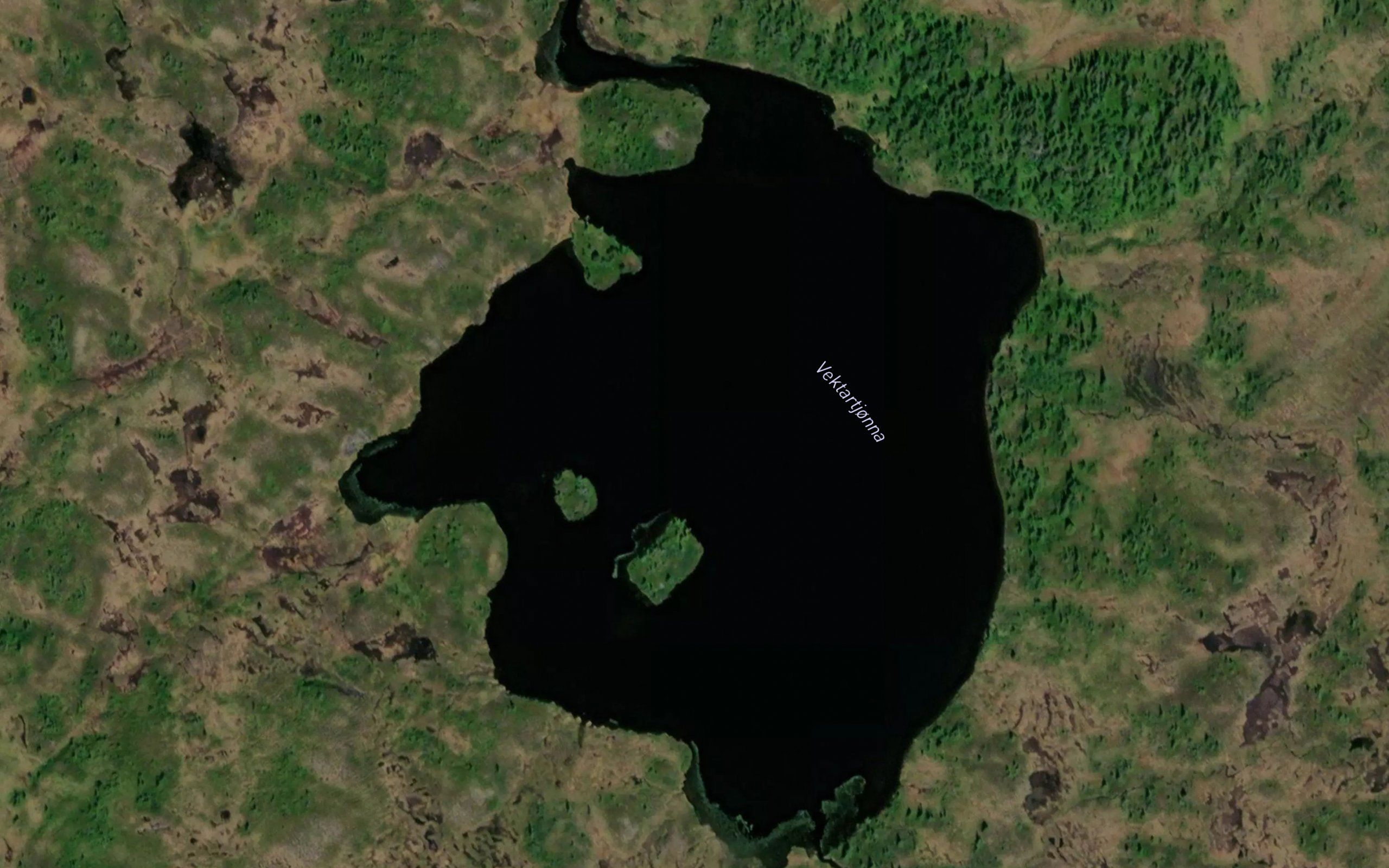 Vektartjonna