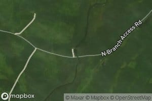 Big Bog